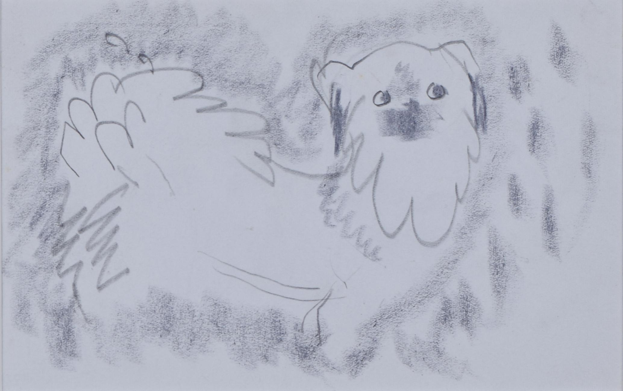 Clifford Ellis William Pug Dog II schizzo a matita Mid Century Modern British Art in vendita 1