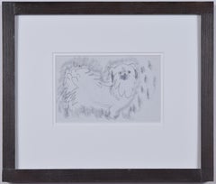 Vintage Clifford Ellis William Pug Dog II pencil sketch Mid Century Modern British Art 