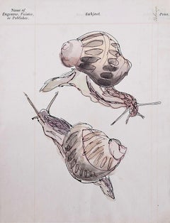 Retro Rosemary Ellis Snail watercolour Modern British Art Wildlife Mid Century Modern