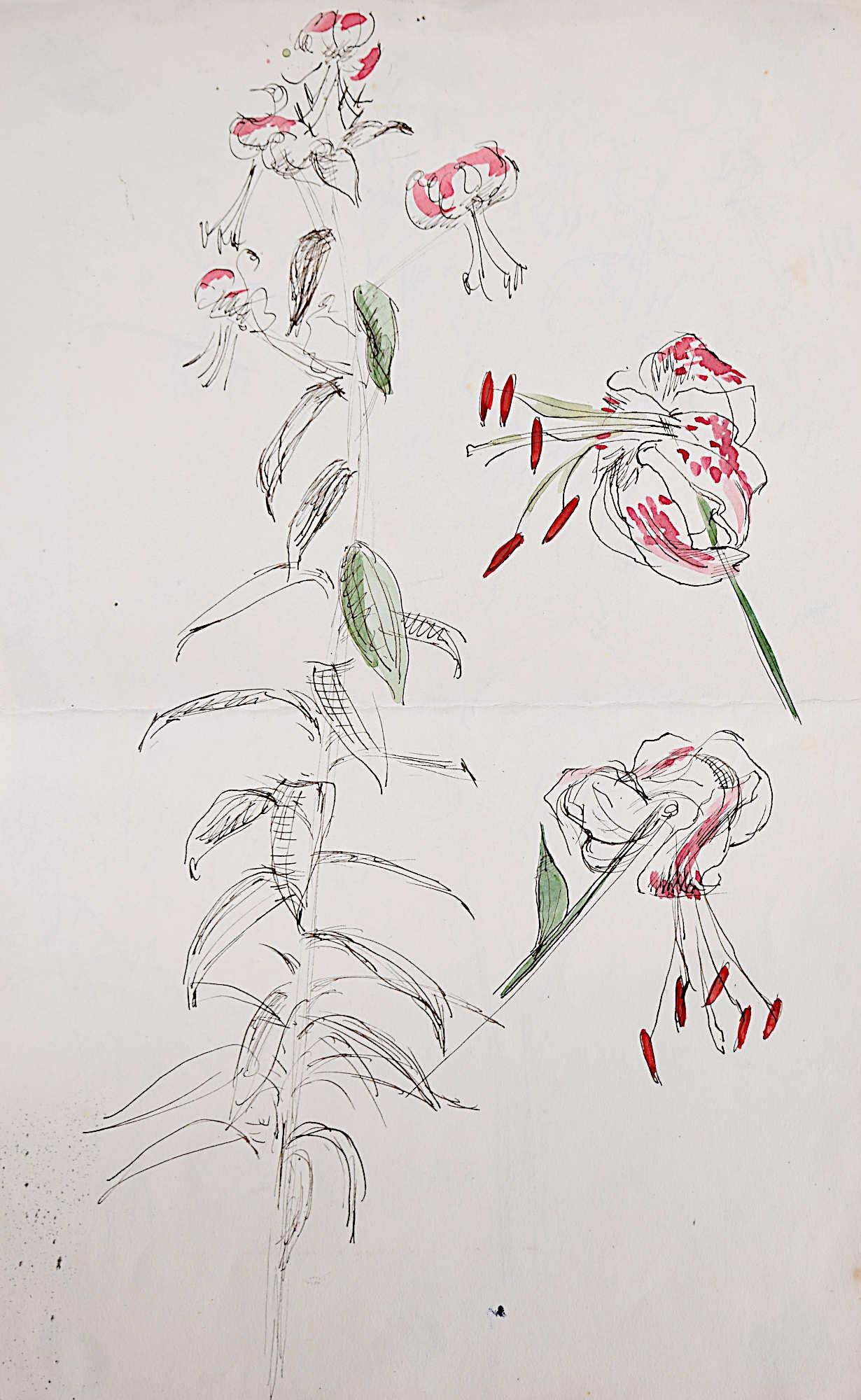 Rosemary Ellis Lily watercolour Modern British Art Wildlife Mid Century Modern