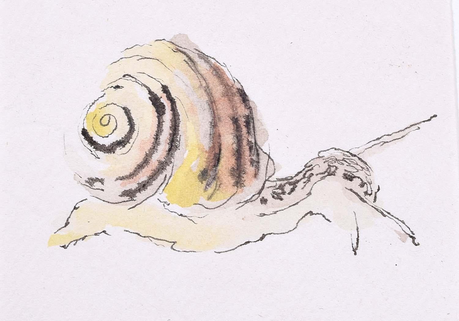 watercolour snail