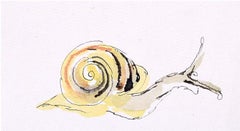 Modernes Aquarell-Aquarell "Snail XVI" von Rosemary Ellis, British Art Wildlife, Mitte des Jahrhunderts