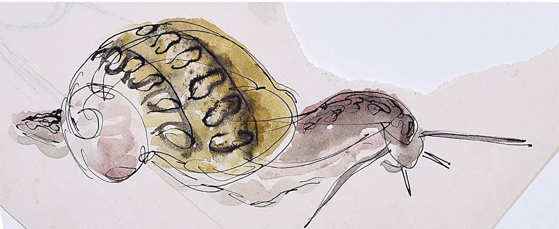 Aquarell-Aquarell "Rosamary Ellis Snail XVIII" Moderne britische Kunst Wildtiere, Mitte des Jahrhunderts