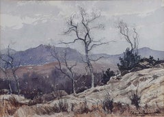 Claude Muncaster Above Finsthwaite, near Newby Bridge 1968 Watercolour