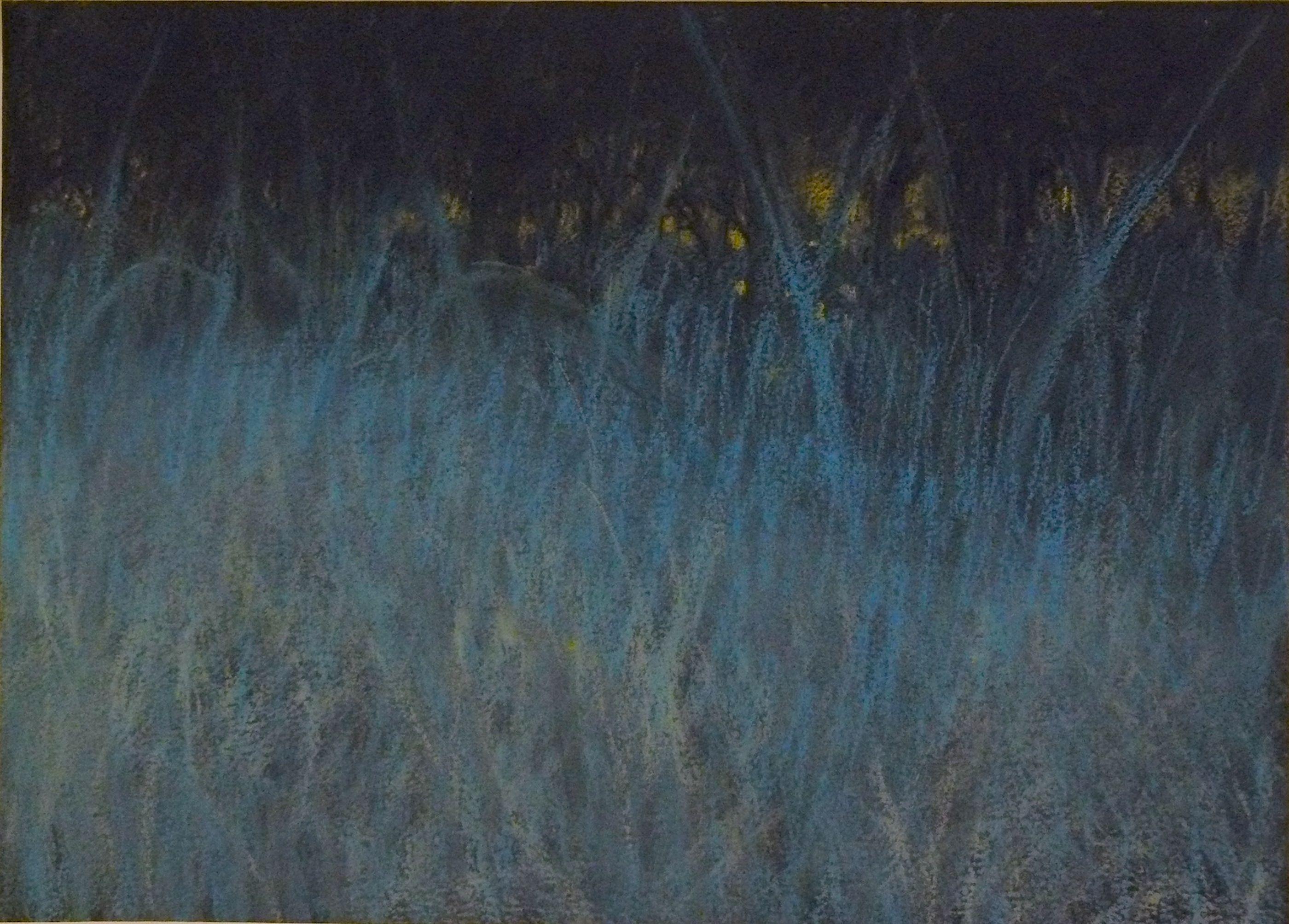 Nanci Erskine Grasslands Nocturne, Drawing, Pastels on Paper For Sale