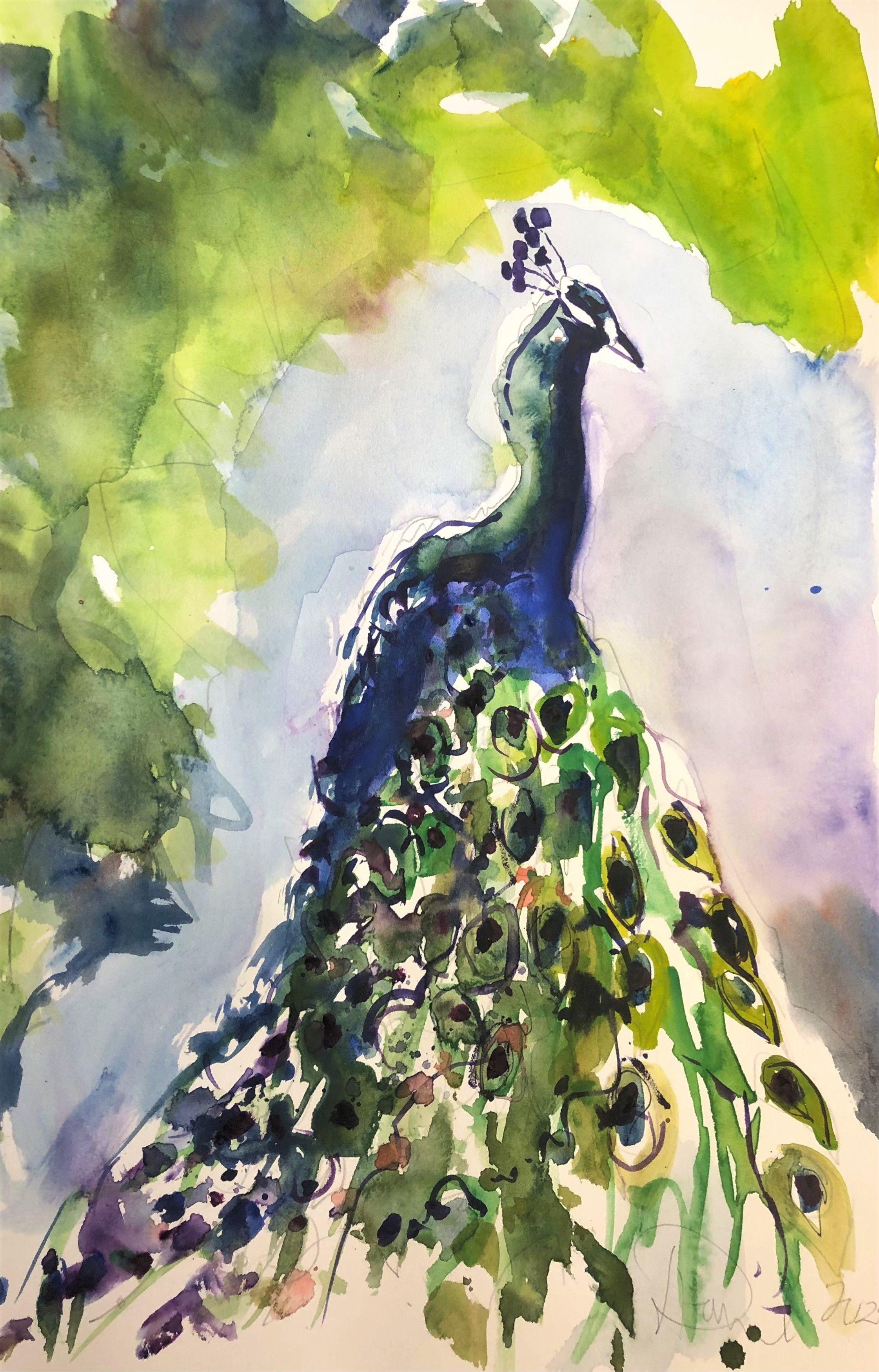 Pfau, Gemälde, Aquarell auf Aquarellpapier, Arboretum – Art von Daniel Clarke
