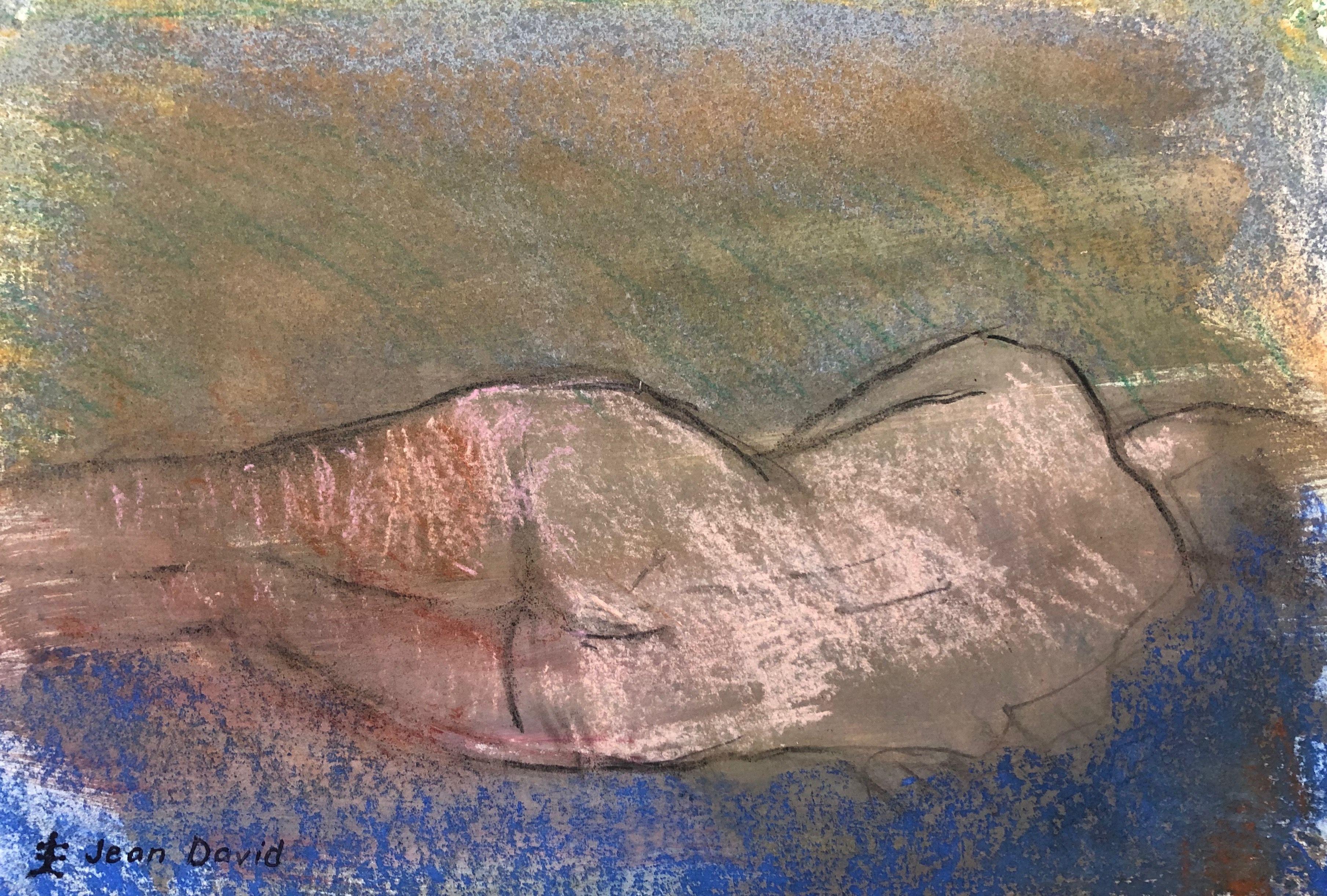 Slumber, Drawing, Pastels on Paper - Art by Jean David