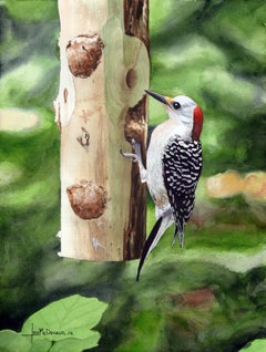 Red-bellied Woodpecker, Painting, Watercolor on Paper