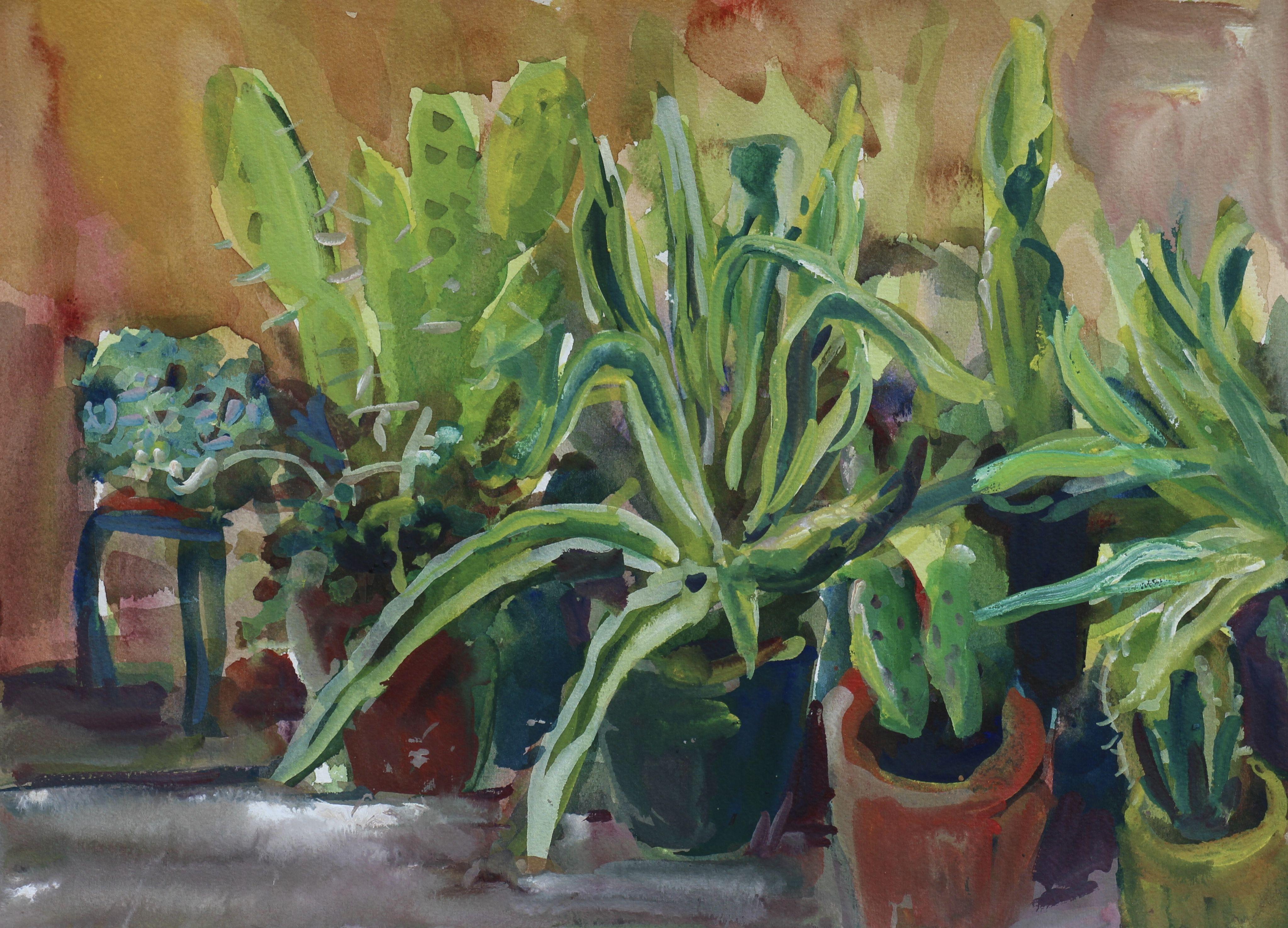 Kactus-Pflanzgefäße #1, Gemälde, Aquarell auf Aquarellpapier – Art von John Kilduff