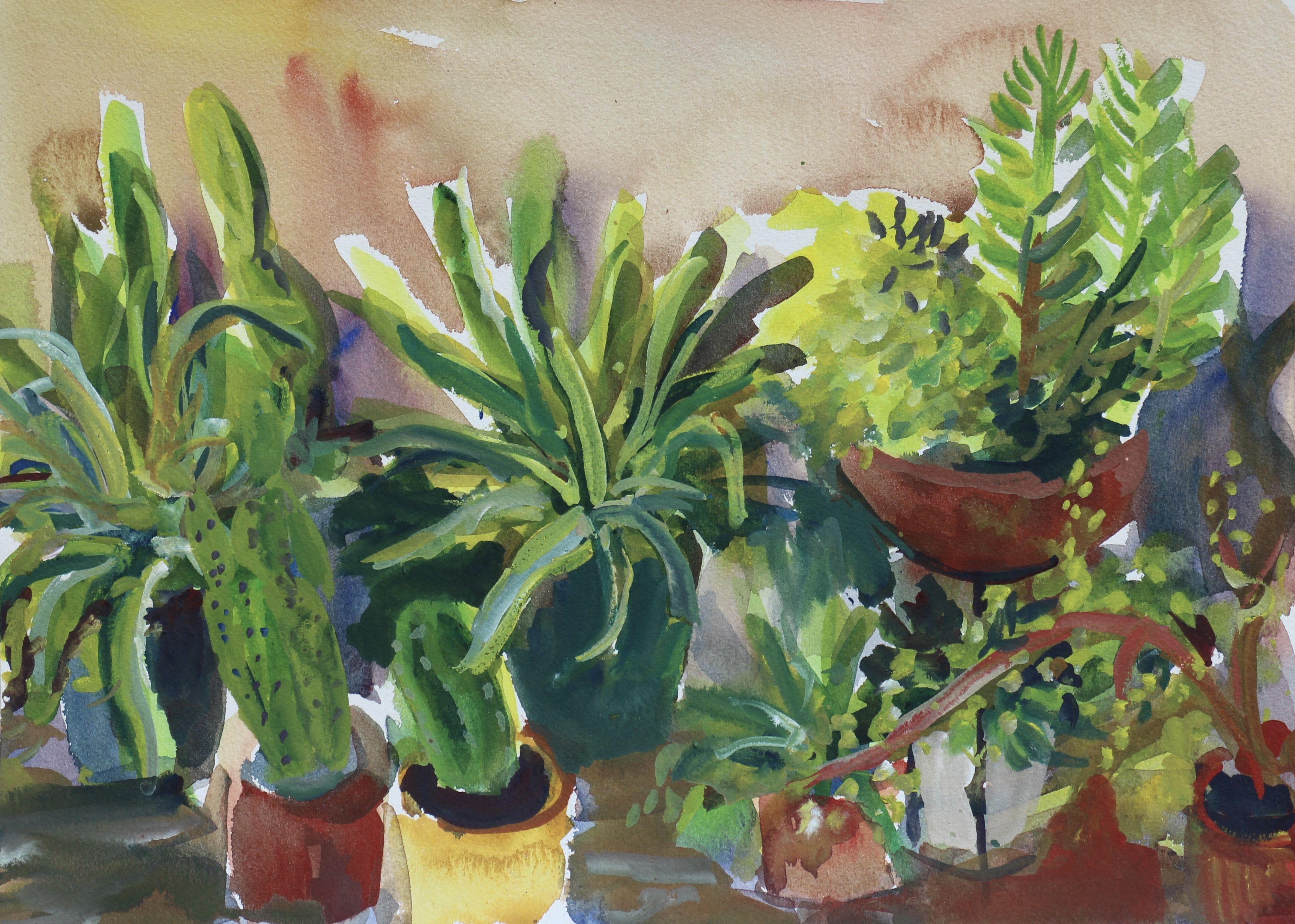 Cactus-Pflanzgefäße #2, Gemälde, Aquarell auf Aquarellpapier – Art von John Kilduff