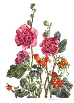 Hollyhocks & Rosa Teppichosa, Gemälde, Aquarell auf Papier