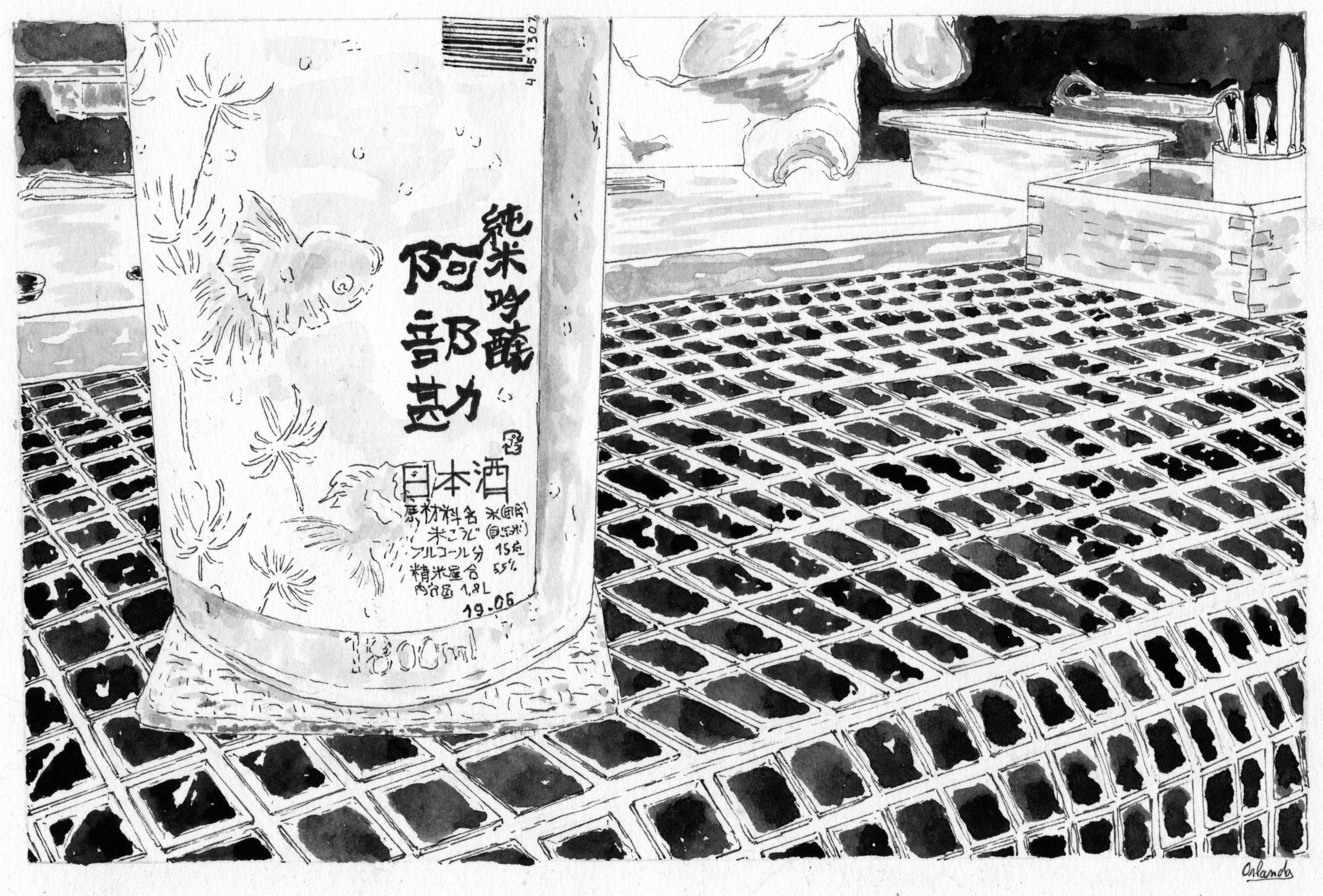 sake bottle in Kobe, Painting, Watercolor on Paper - Art by Orlando Marin
