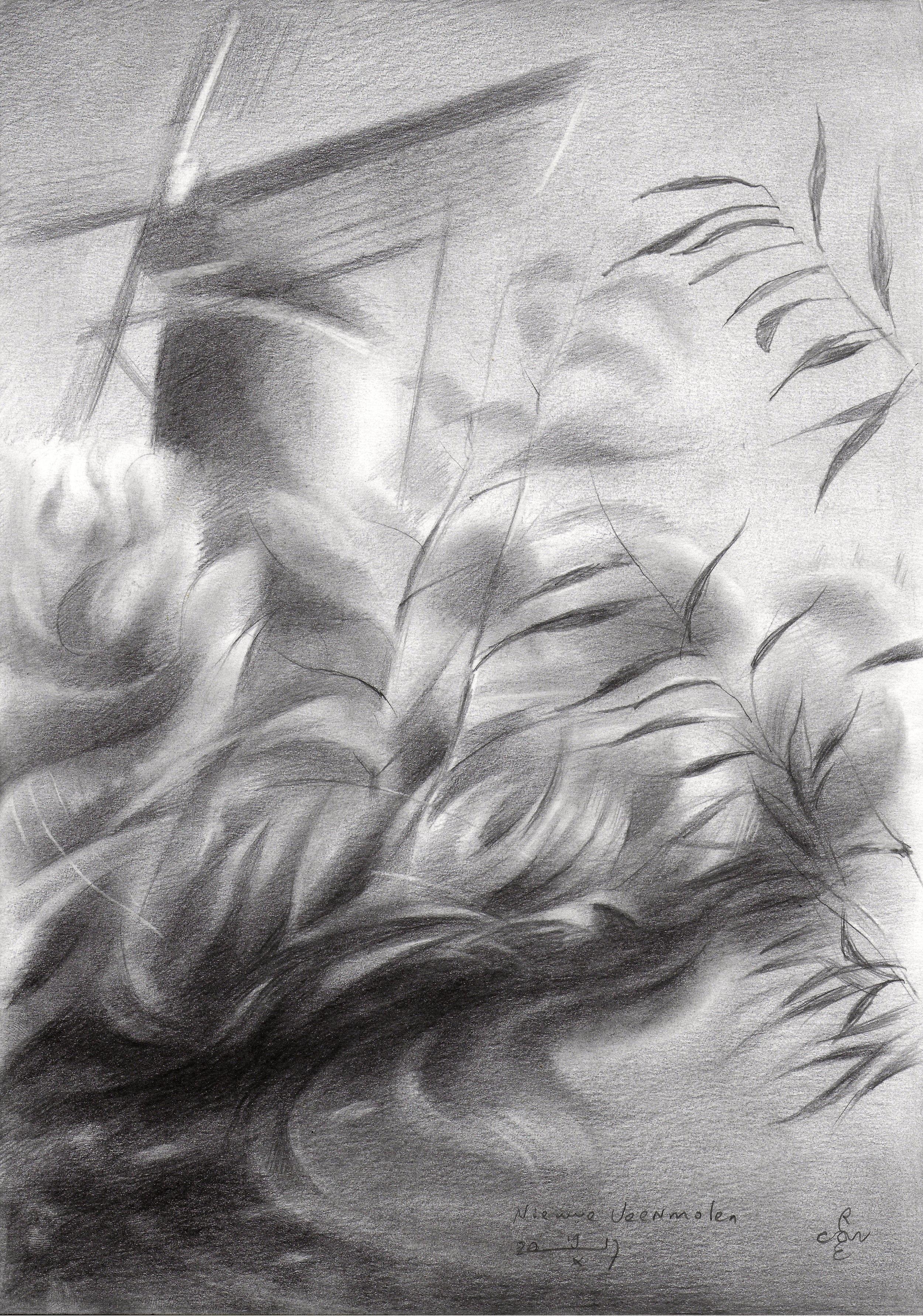 Nieuwe Veenmolen - 19-10-17, Zeichnung, Bleistift/Farbstift auf Papier – Art von Corne Akkers