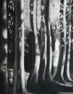 Statue in The Woods, Drawing, Charcoal on Paper