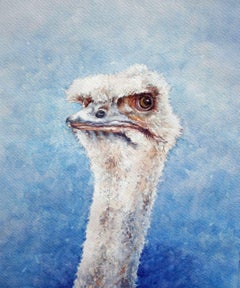 The Look. Ostritch, peinture, aquarelle sur papier aquarelle