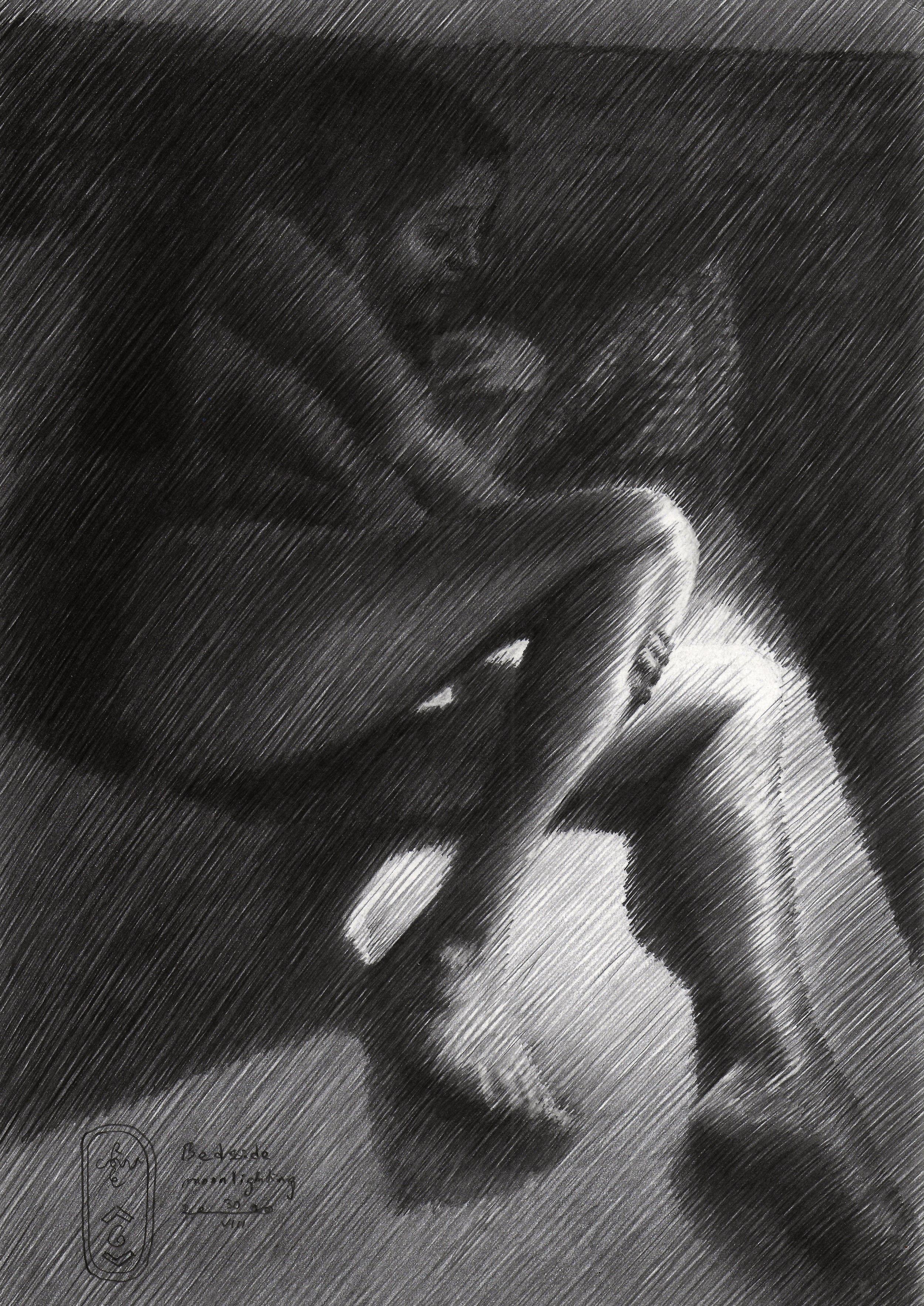 Bedside Moonlighting â€“ 31-08-20, Drawing, Pencil/Colored Pencil on Paper - Art by Corne Akkers