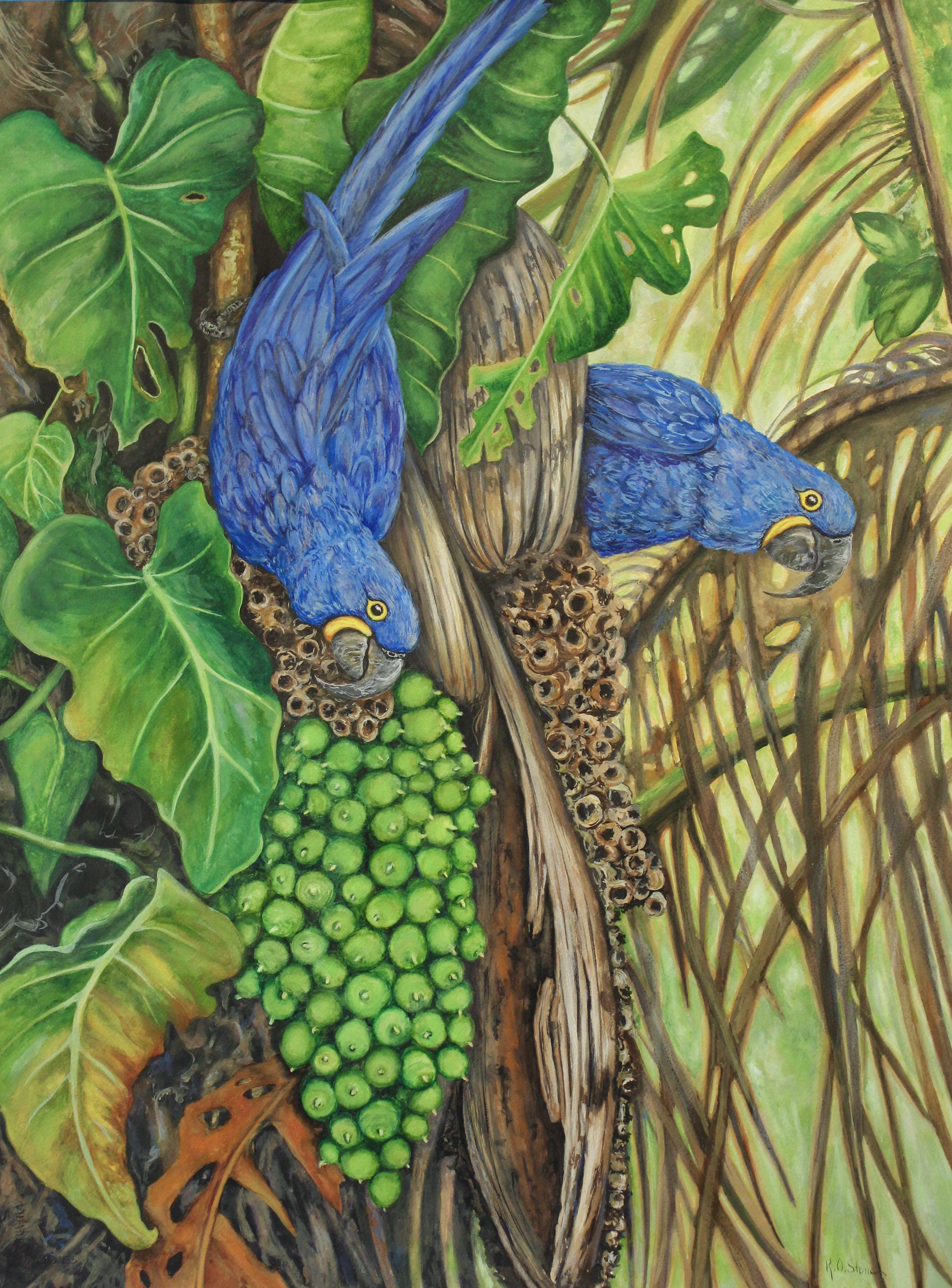Hyacinth Macaws, Painting, Watercolor on Canvas - Art by Kristen Olson Stone