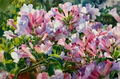 Garlic Vine Flower, Painting, Watercolor on Watercolor Paper