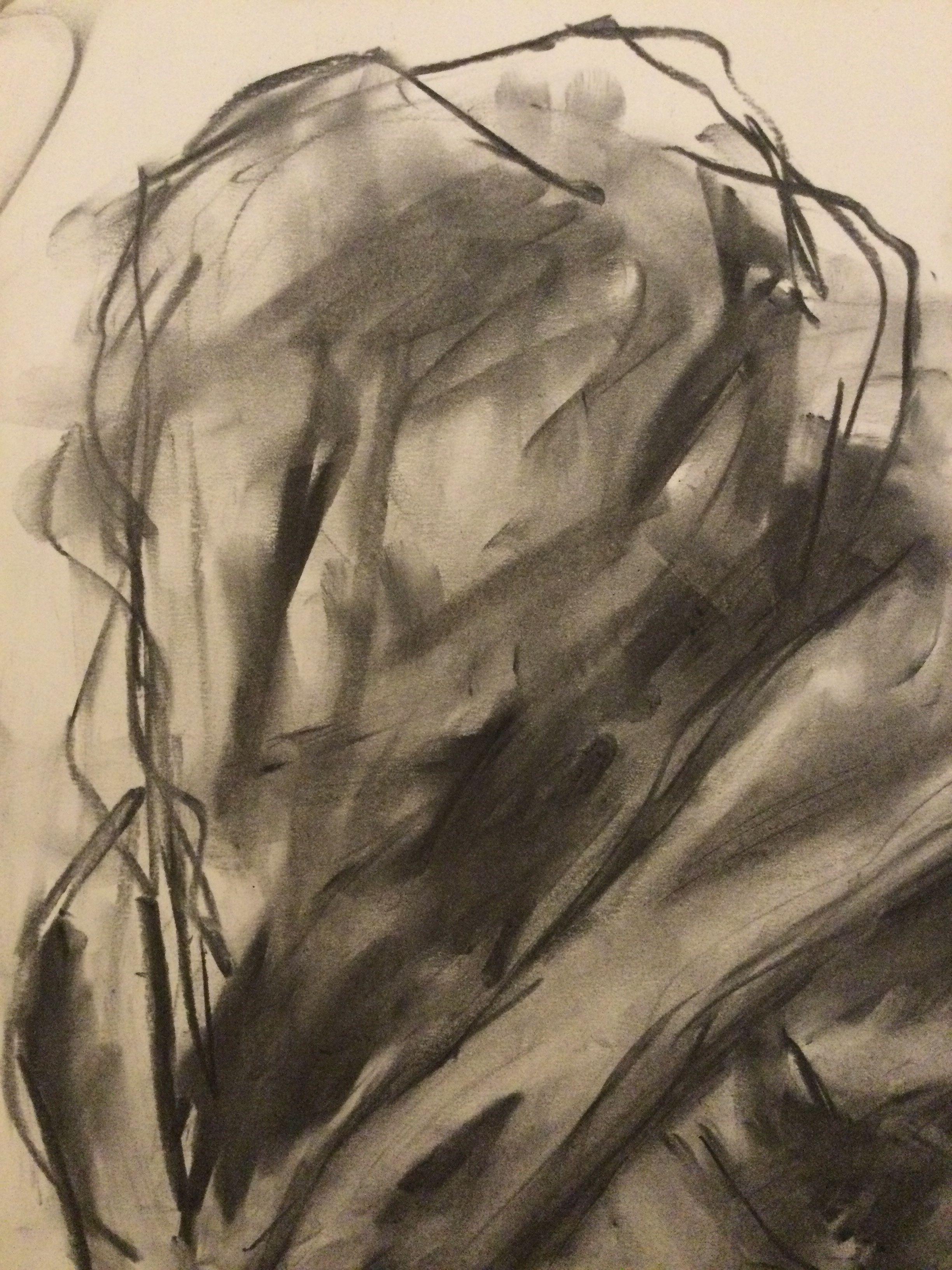 Dove, Drawing, Charcoal on Paper - Impressionist Art by James Shipton