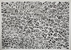 Inner Space  - 2, Drawing, Pen & Ink on Paper