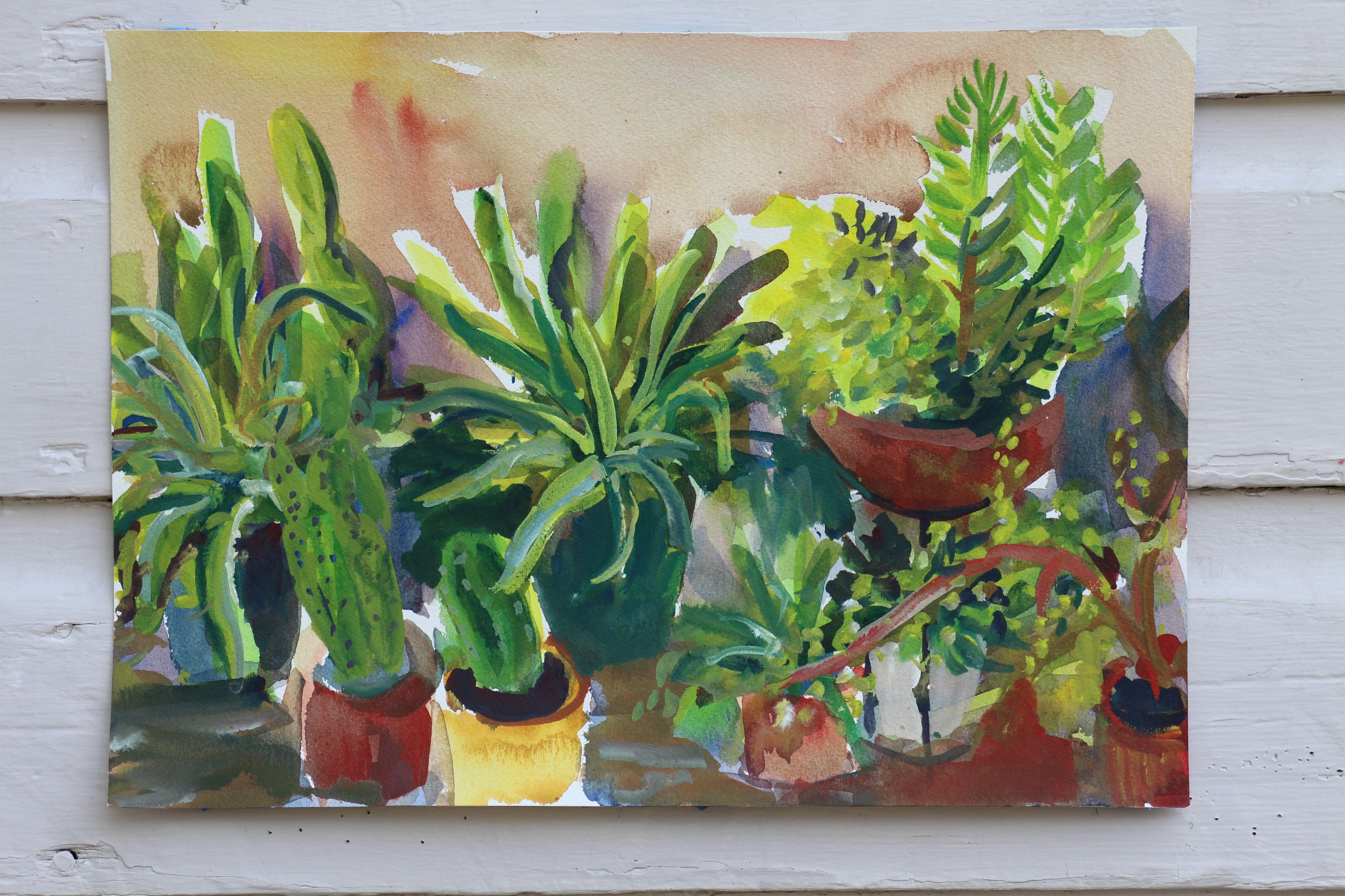 Cactus-Pflanzgefäße #2, Gemälde, Aquarell auf Aquarellpapier (Impressionismus), Art, von John Kilduff