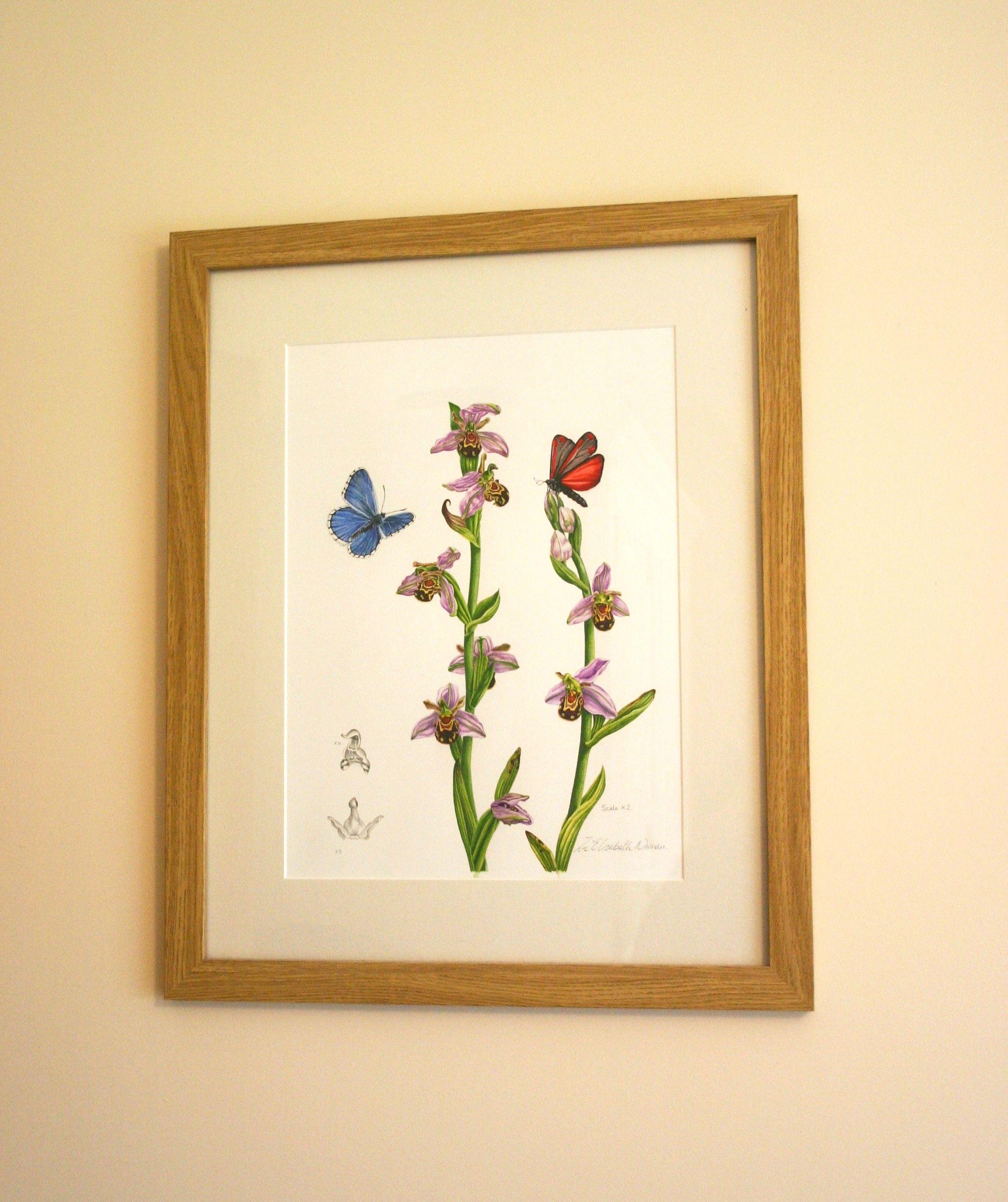 Orquídeas abeja, Pintura, Acuarela sobre papel de acuarela en venta 2