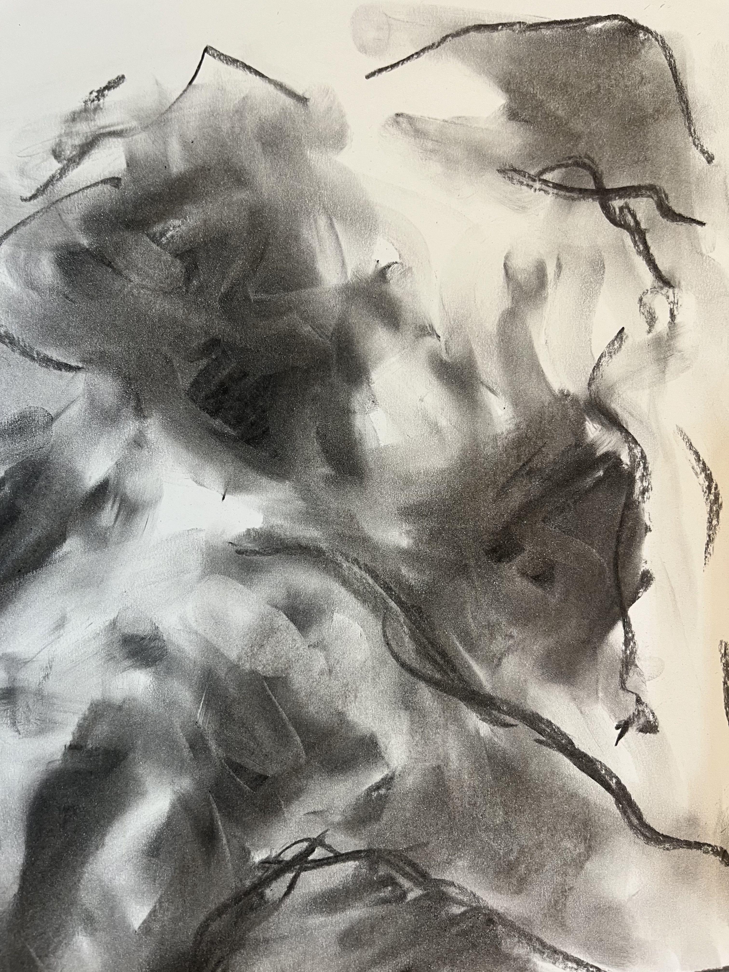 Surrounded, Drawing, Charcoal on Paper - Impressionist Art by James Shipton