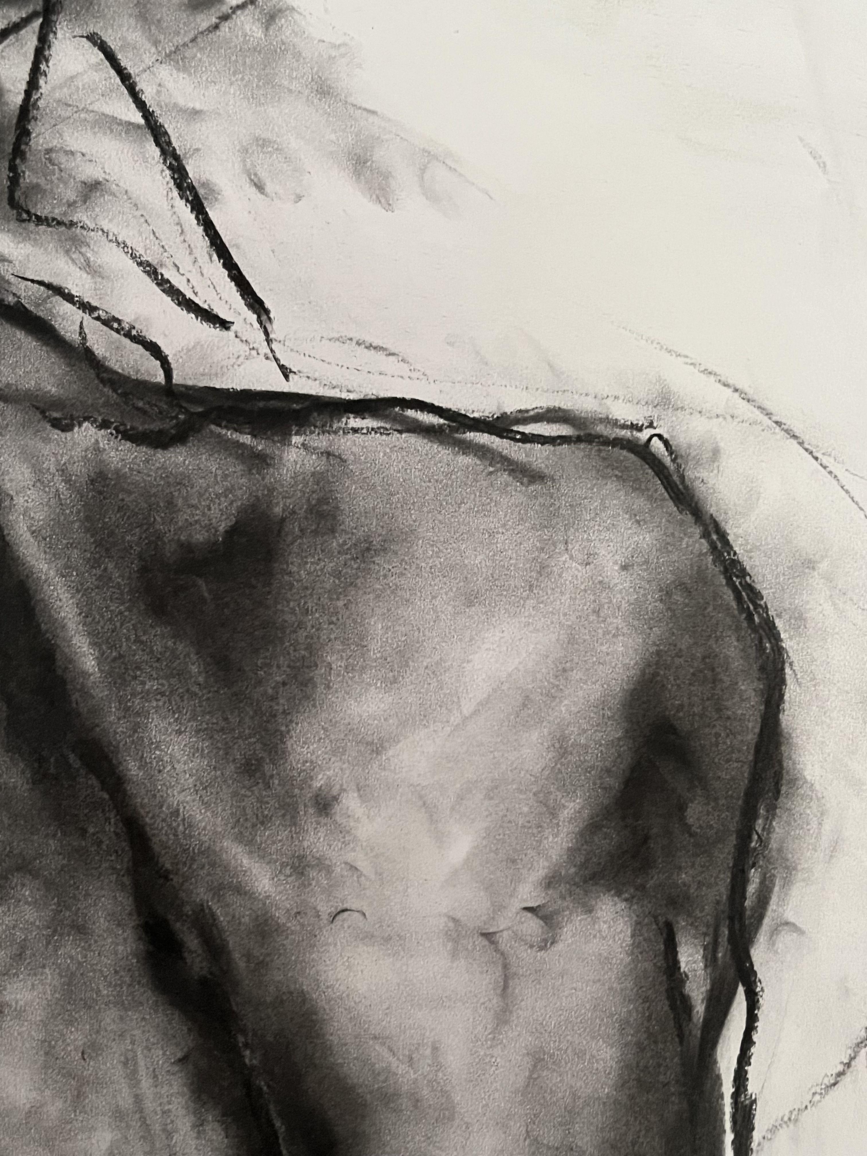 Revealed, Drawing, Charcoal on Paper For Sale 1