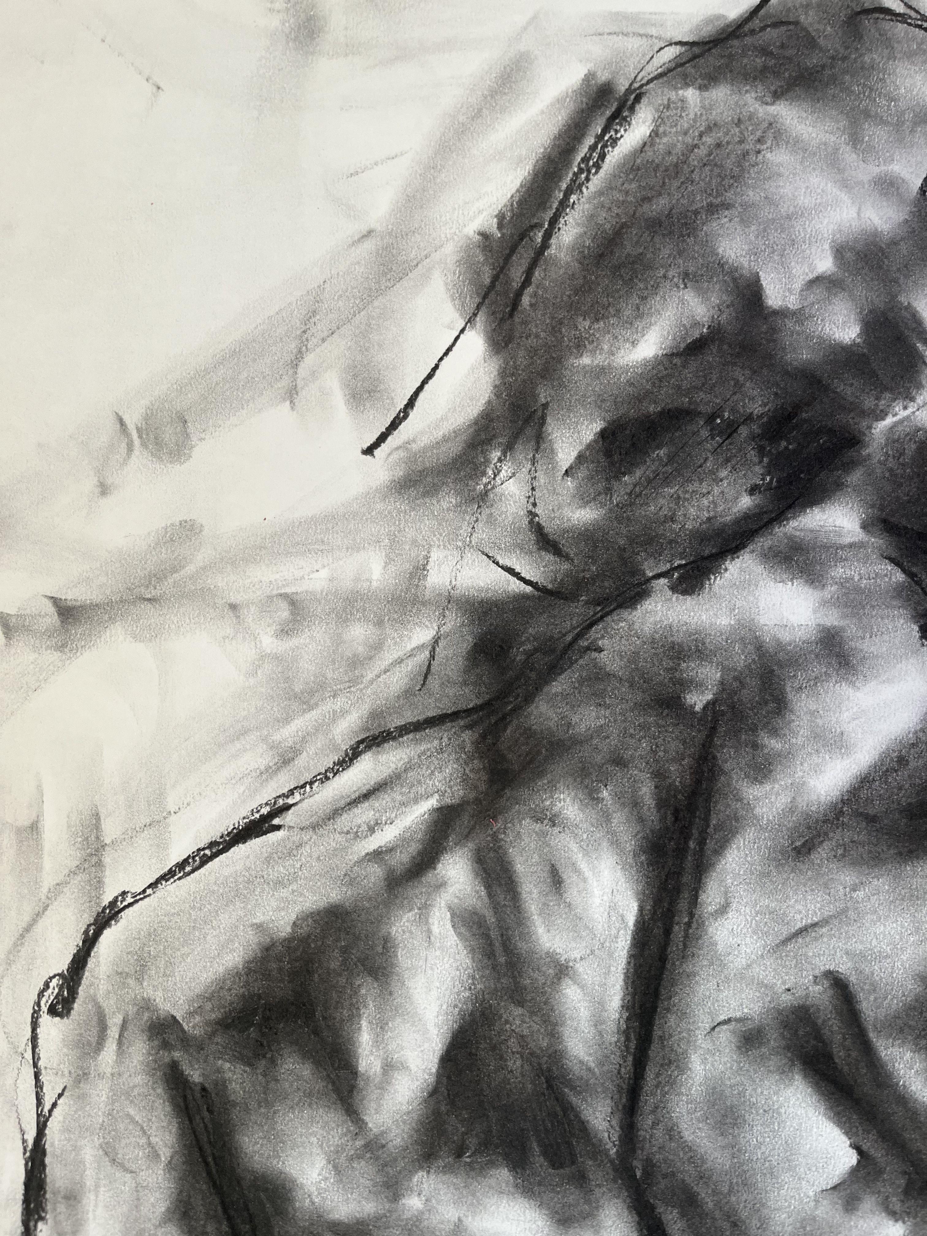 Solutions, Drawing, Charcoal on Paper - Impressionist Art by James Shipton
