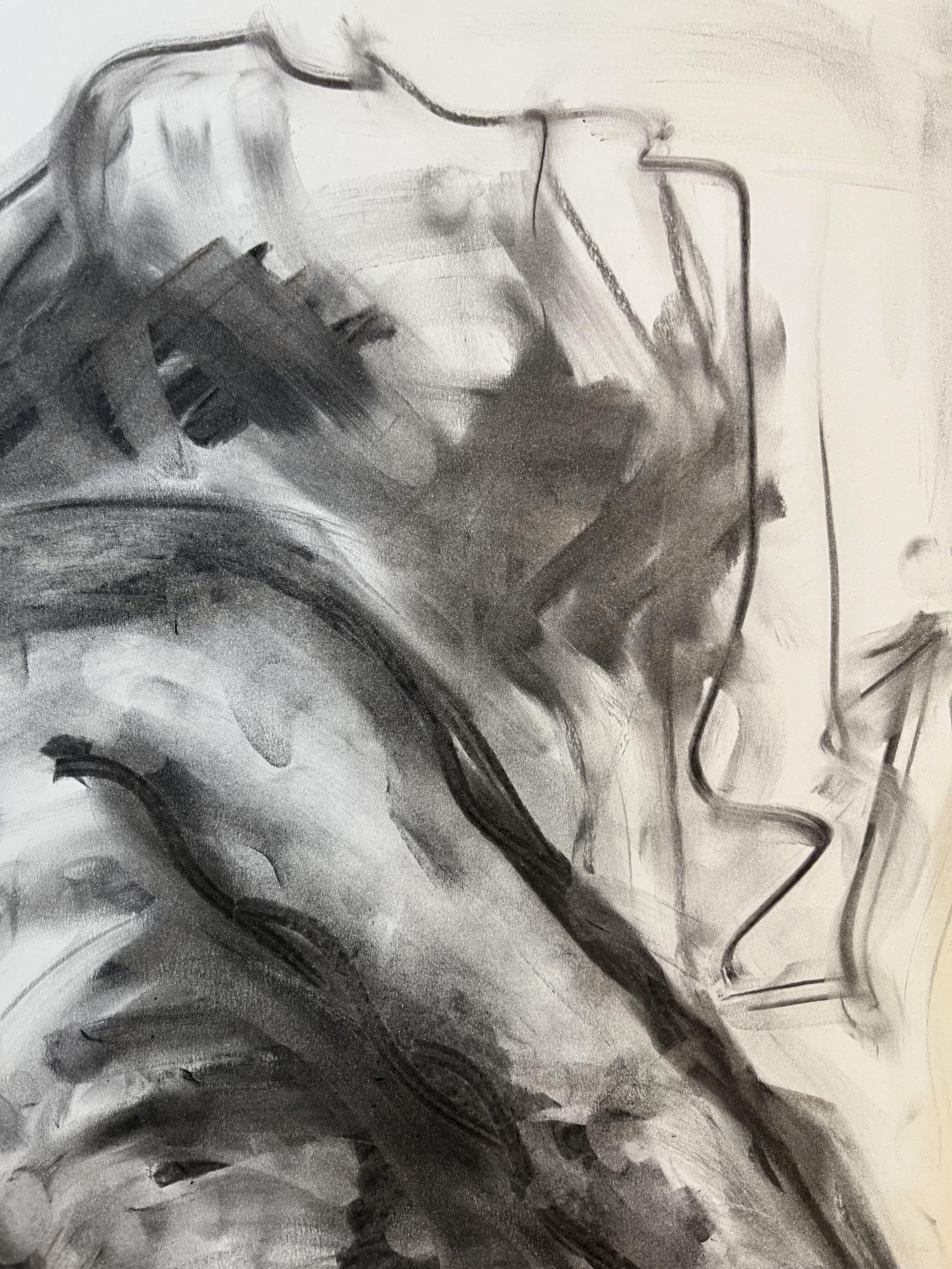 Unvorhersehbar, Zeichnung, Holzkohle auf Papier (Impressionismus), Art, von James Shipton