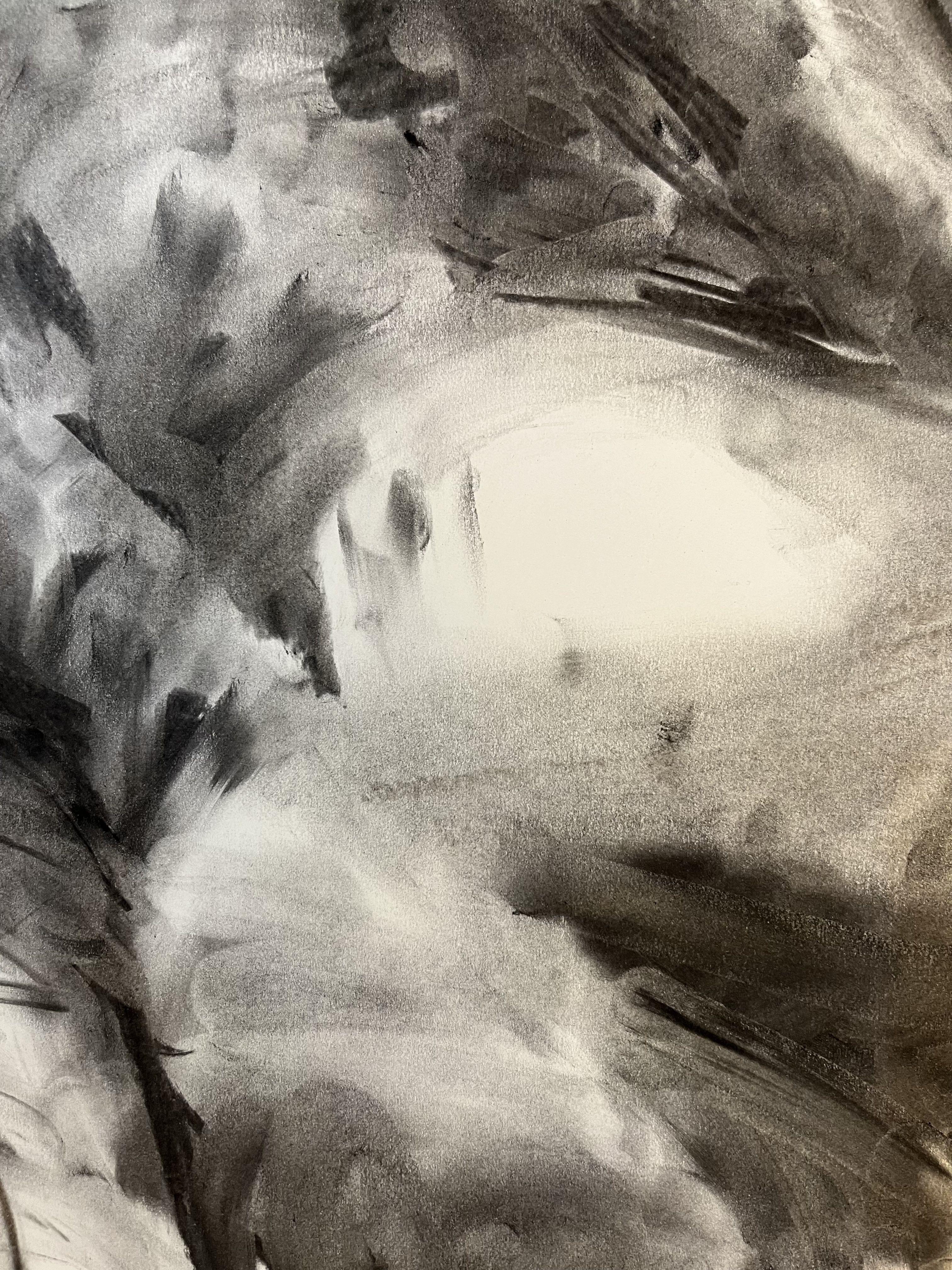 Unpredictable, Drawing, Charcoal on Paper - Impressionist Art by James Shipton