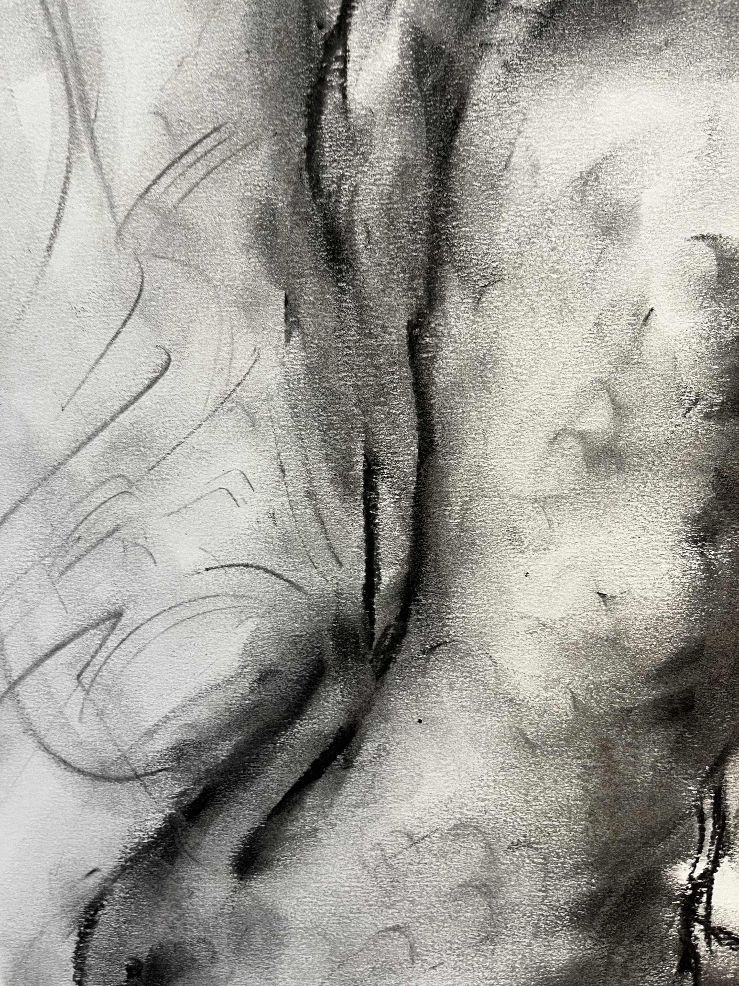 Pretend, Drawing, Charcoal on Paper For Sale 1