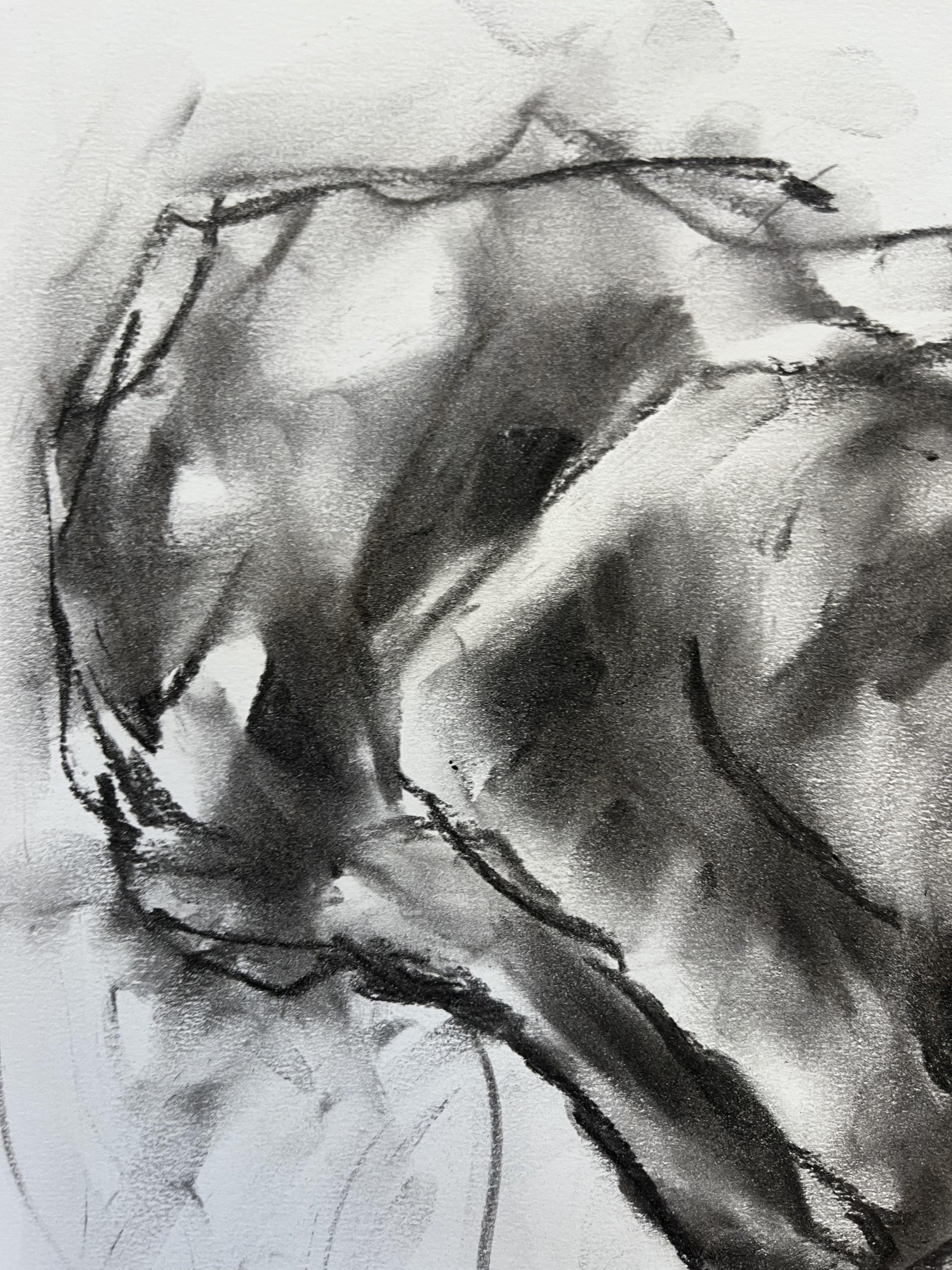 Everything, Drawing, Charcoal on Paper - Impressionist Art by James Shipton