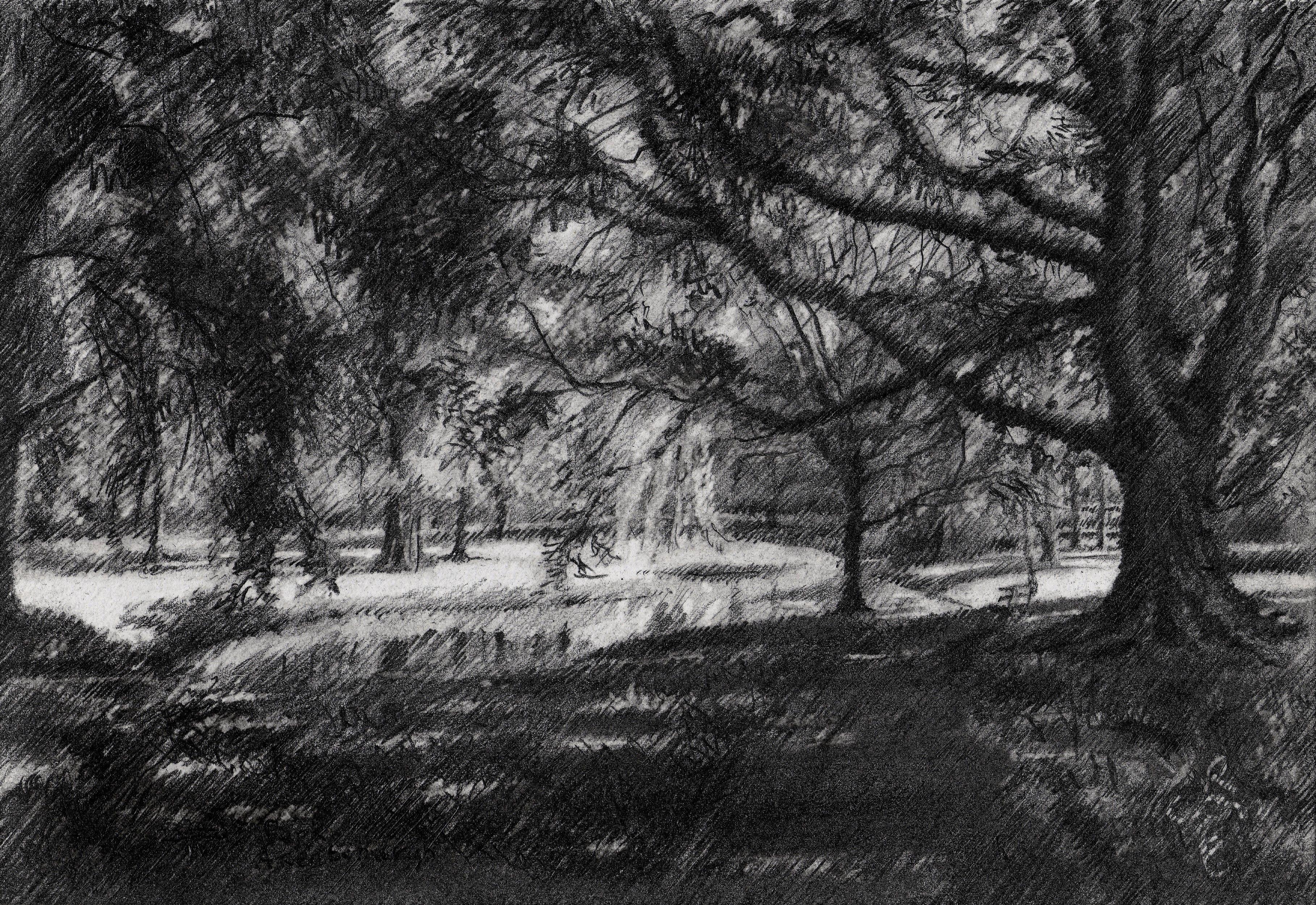 Park Arentsburgh â€“ 20-04-23, Drawing, Pencil/Colored Pencil on Paper - Art by Corne Akkers