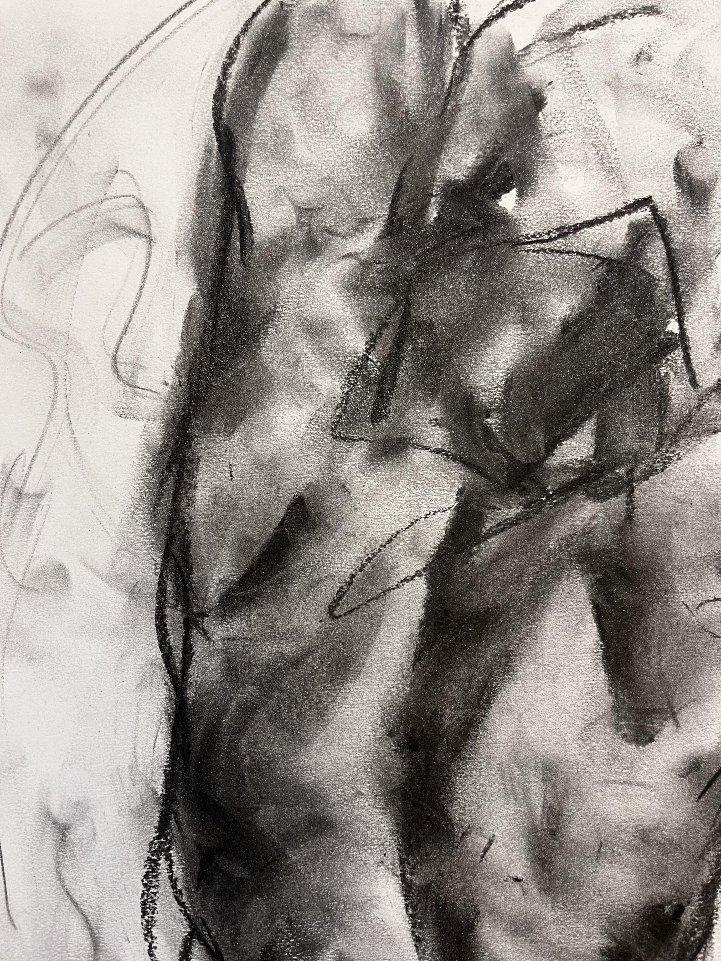 Spring Dawn, Drawing, Charcoal on Paper - Impressionist Art by James Shipton