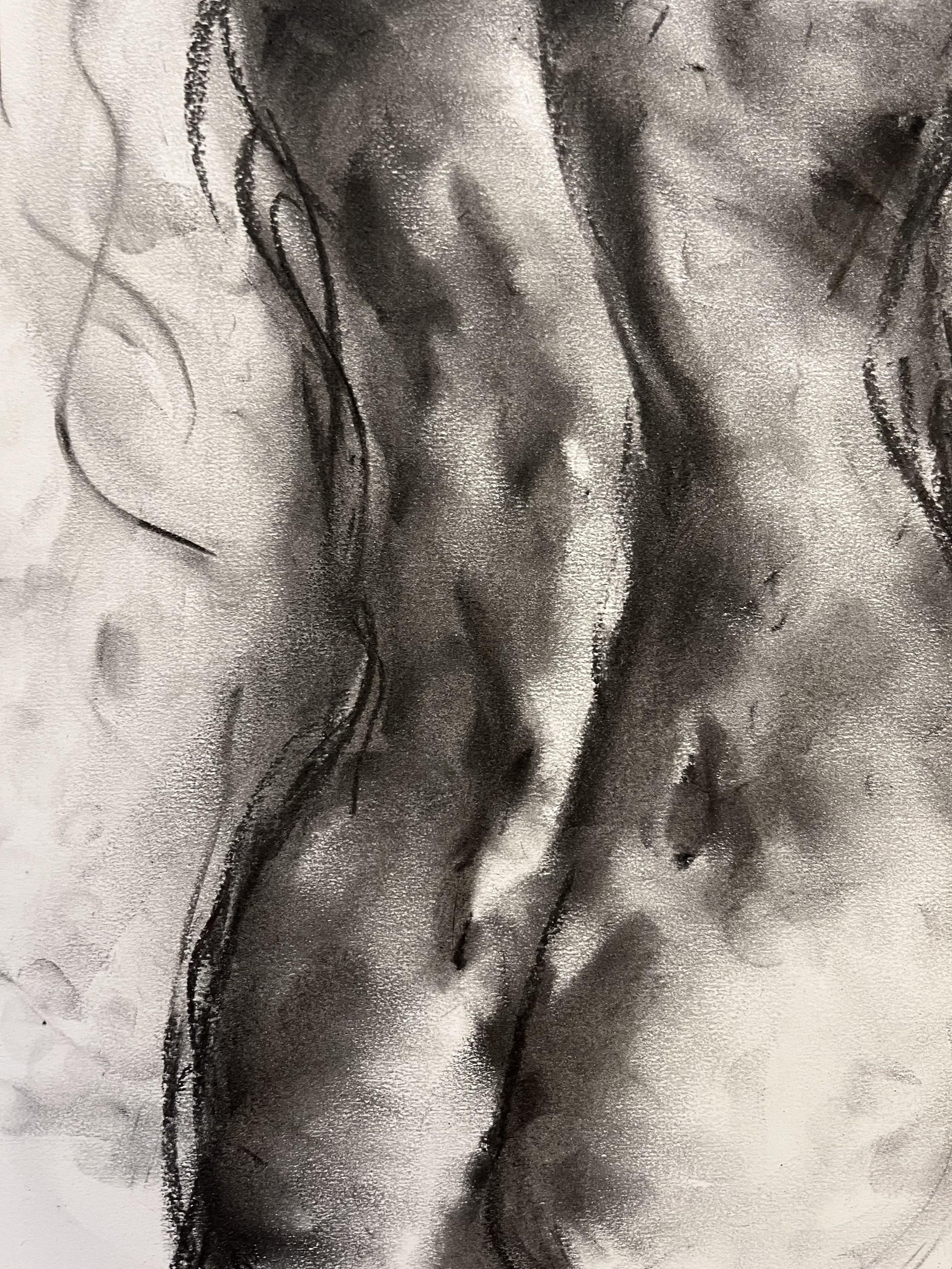 Spring Dawn, Drawing, Charcoal on Paper For Sale 2