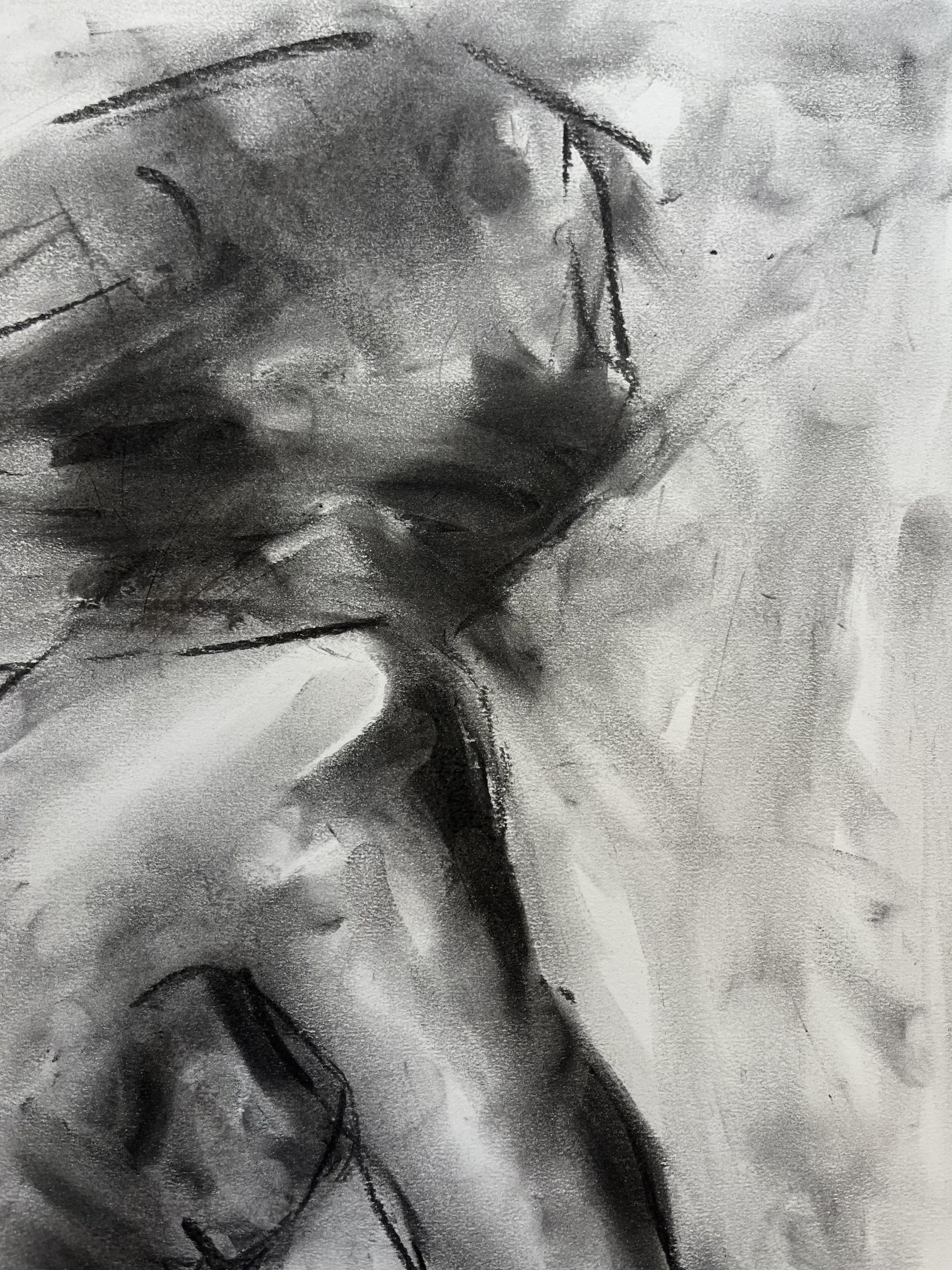 Upheaval, Drawing, Charcoal on Paper - Impressionist Art by James Shipton