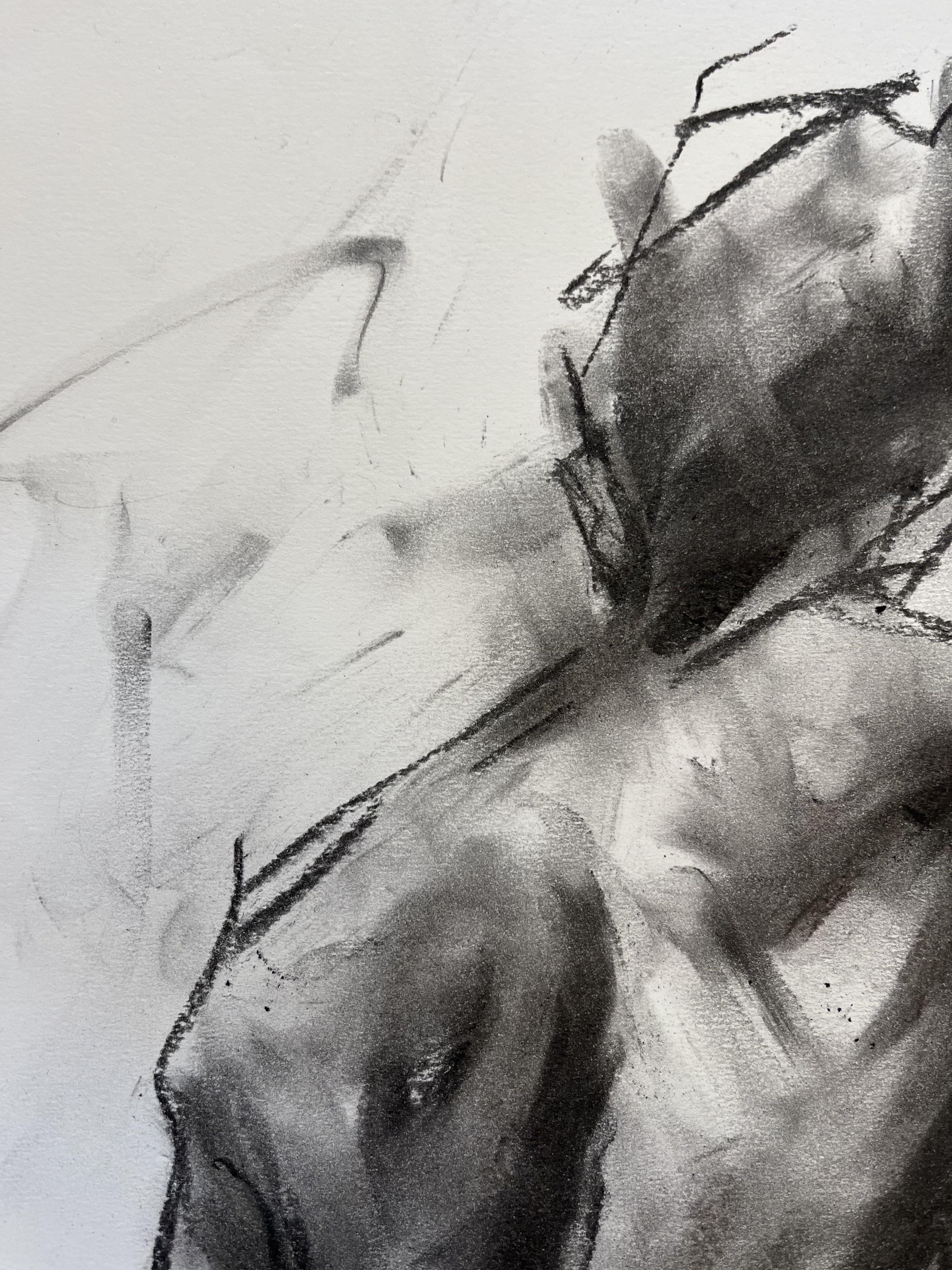 Imagination, Drawing, Charcoal on Paper - Impressionist Art by James Shipton