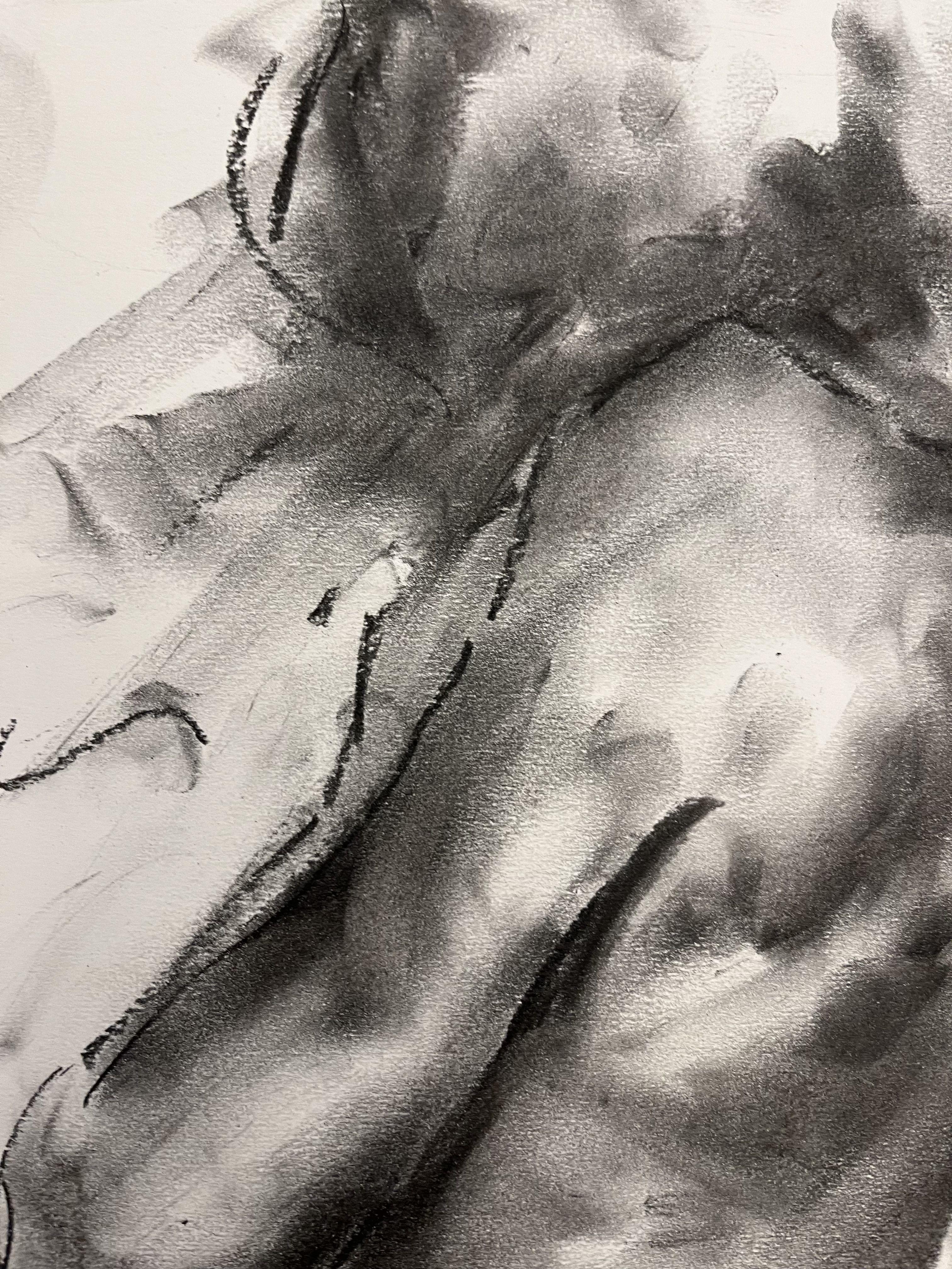 Life, Drawing, Charcoal on Paper - Impressionist Art by James Shipton