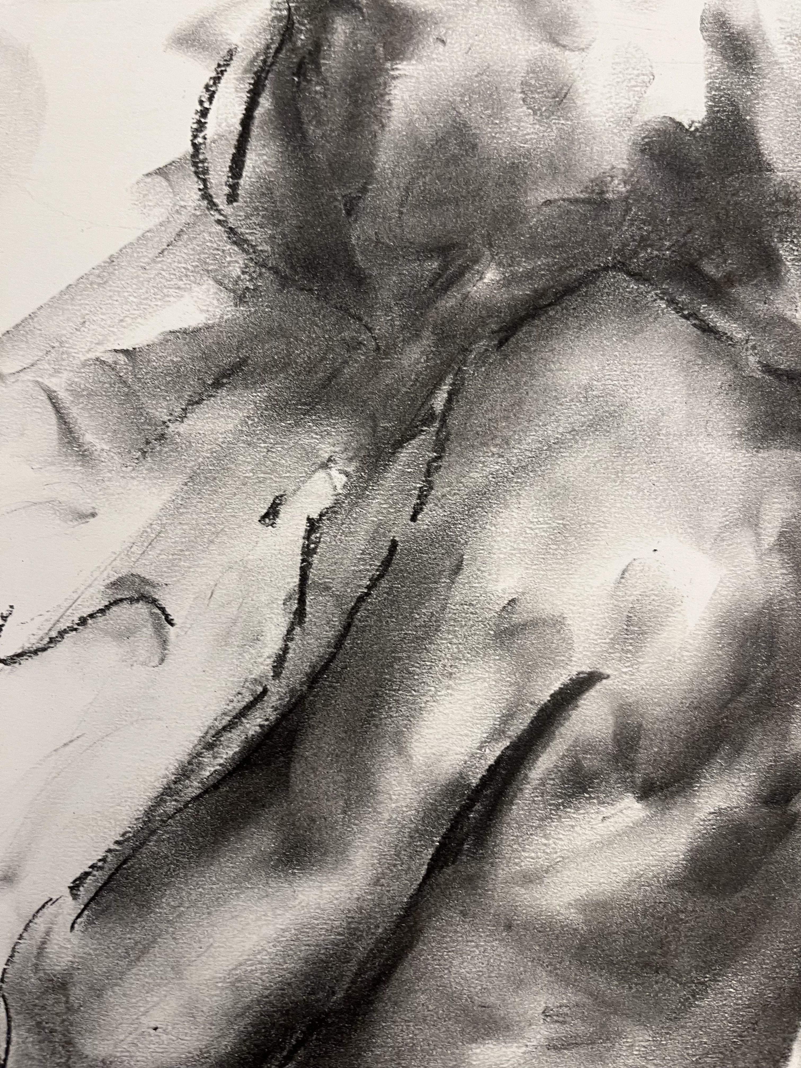 Vita, Disegno, Carboncino su carta - Art Impressionismo di James Shipton