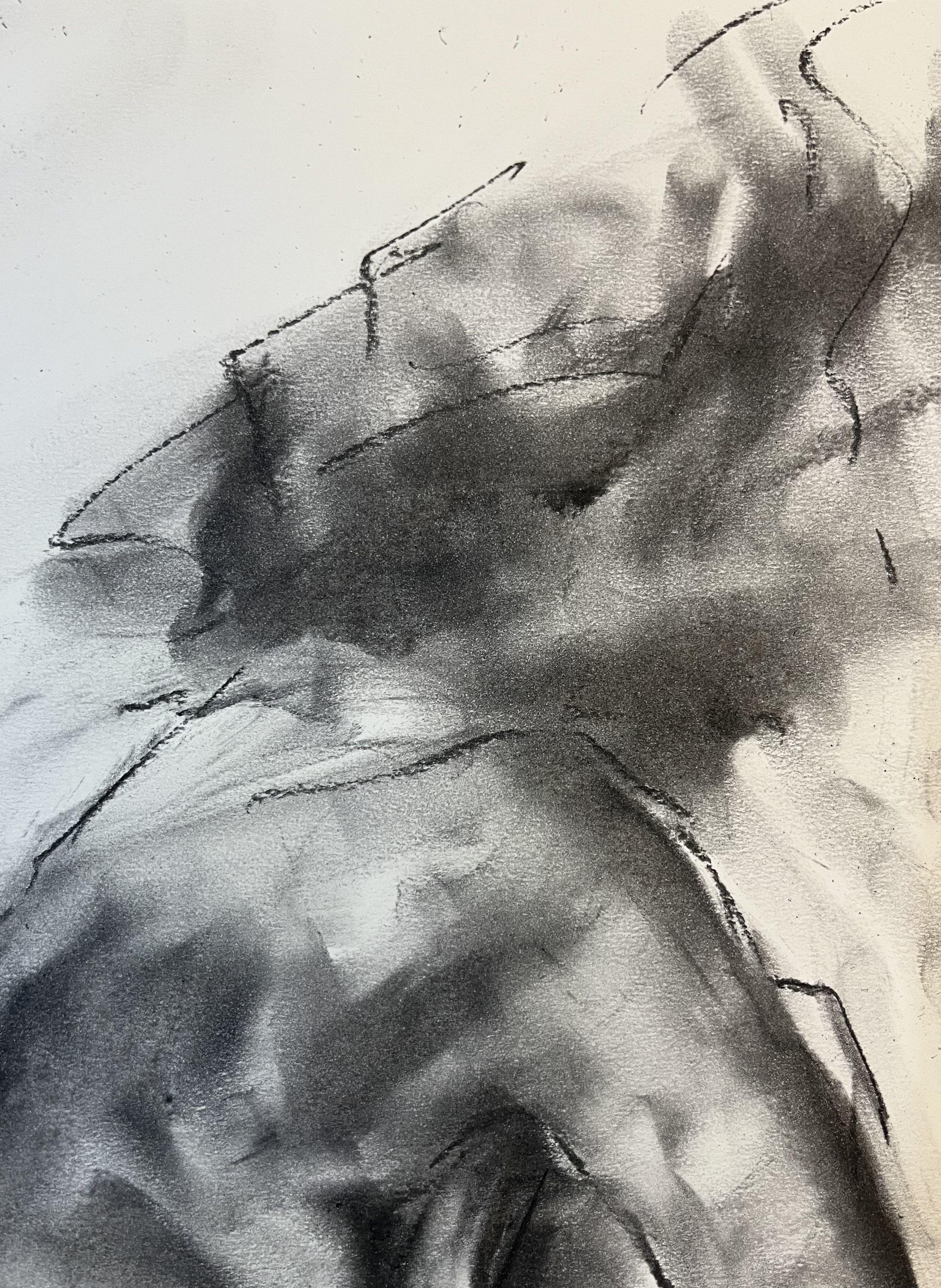 Fall Apart, Drawing, Charcoal on Paper - Impressionist Art by James Shipton