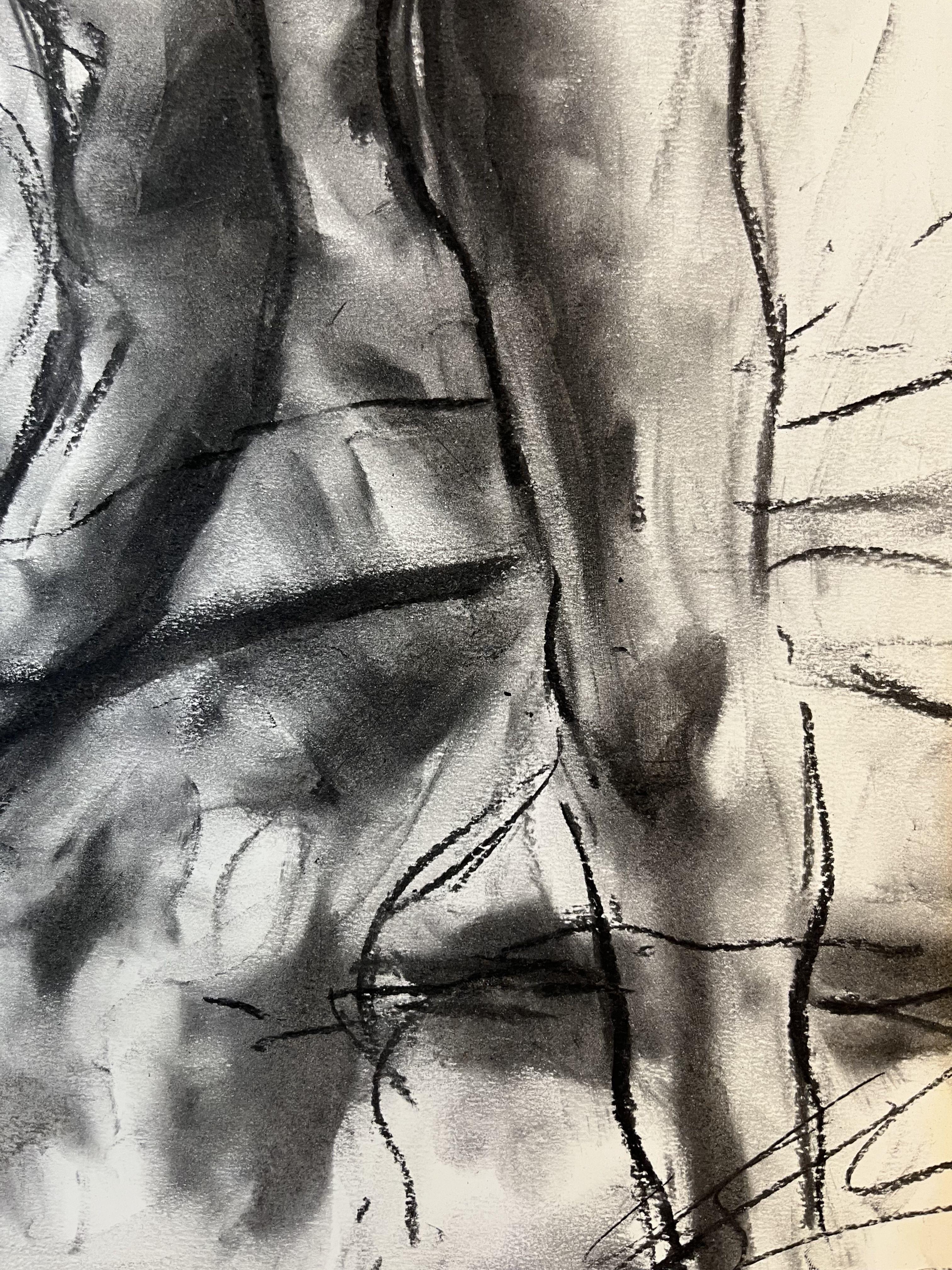 Never Ending, Drawing, Charcoal on Paper For Sale 2