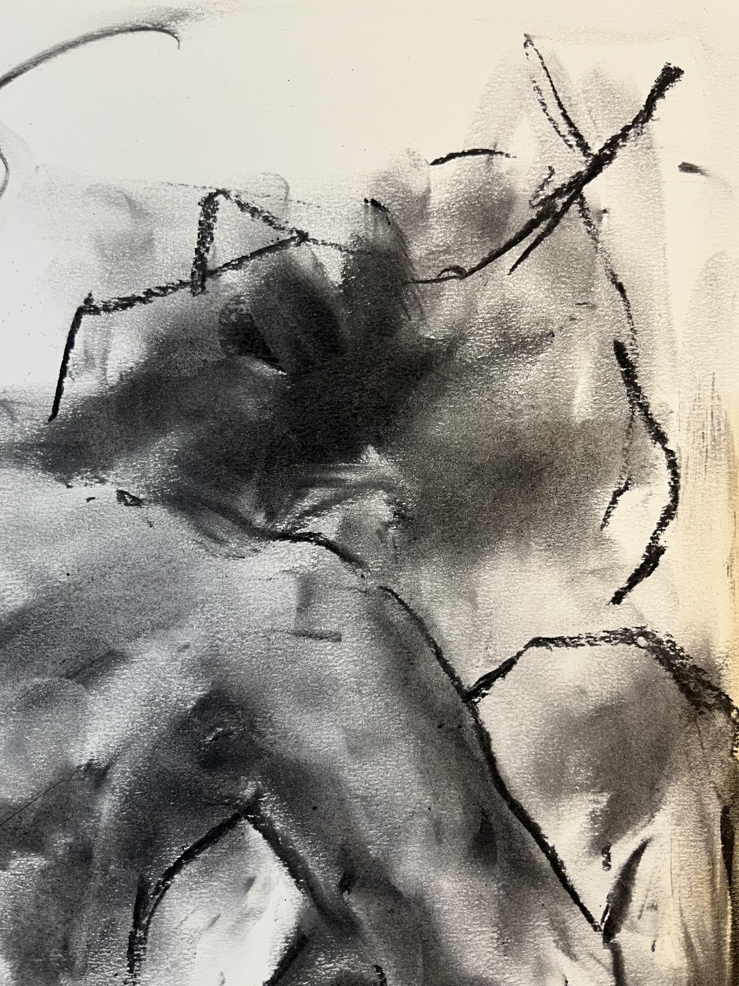 Explore, Drawing, Charcoal on Paper - Impressionist Art by James Shipton