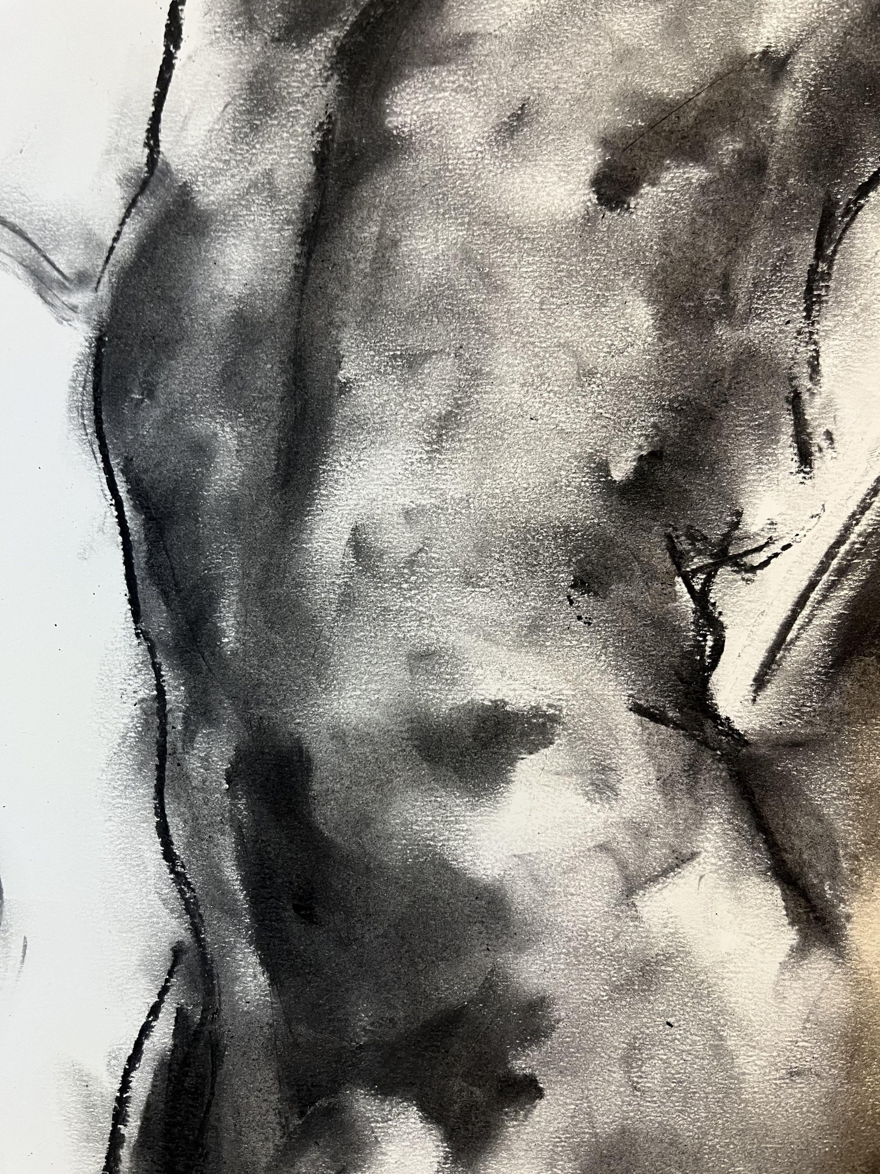 Explore, Drawing, Charcoal on Paper For Sale 2