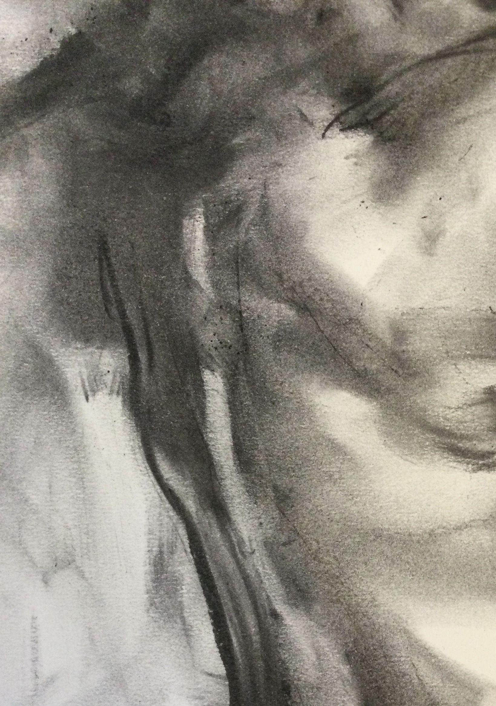 Daños, Dibujo, Carboncillo sobre papel en venta 1