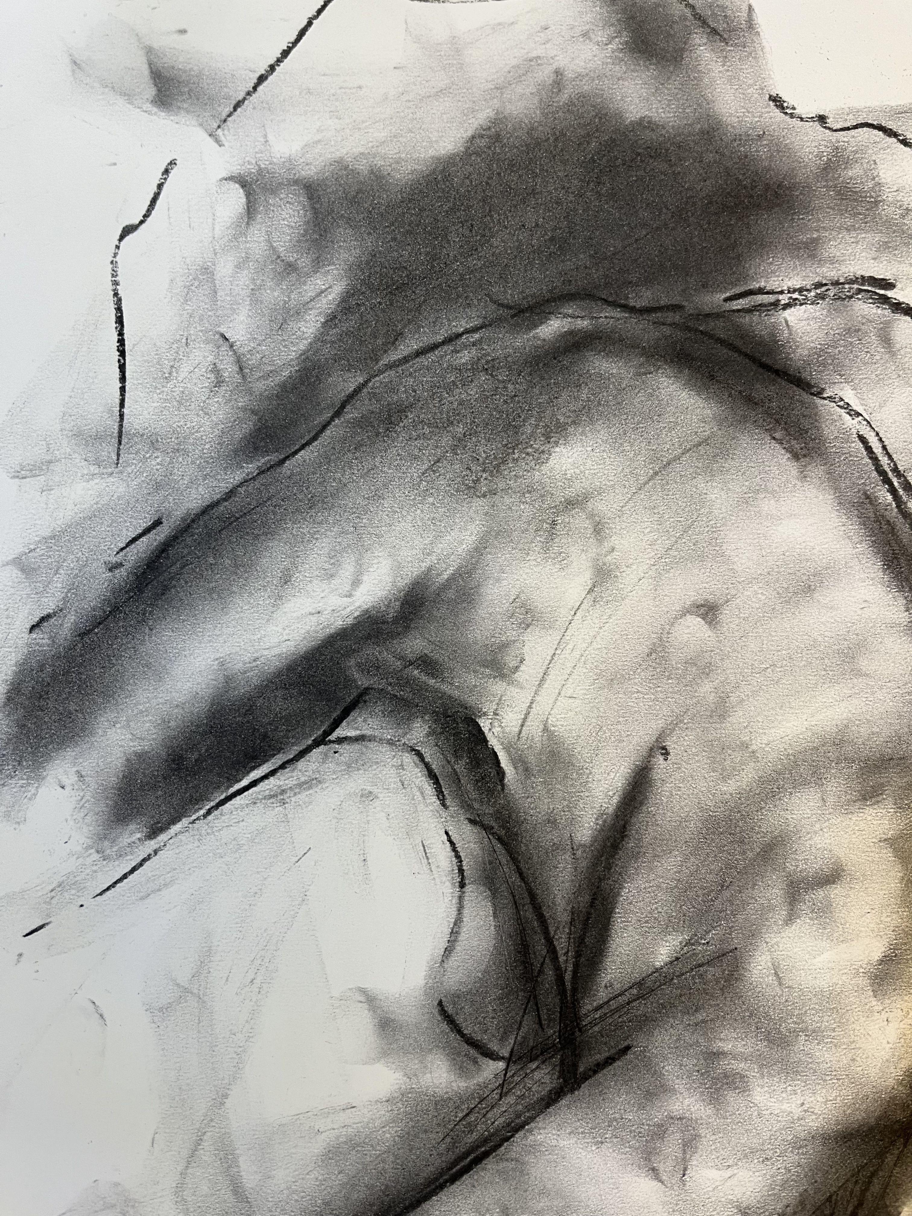 Deception, Drawing, Charcoal on Paper - Impressionist Art by James Shipton