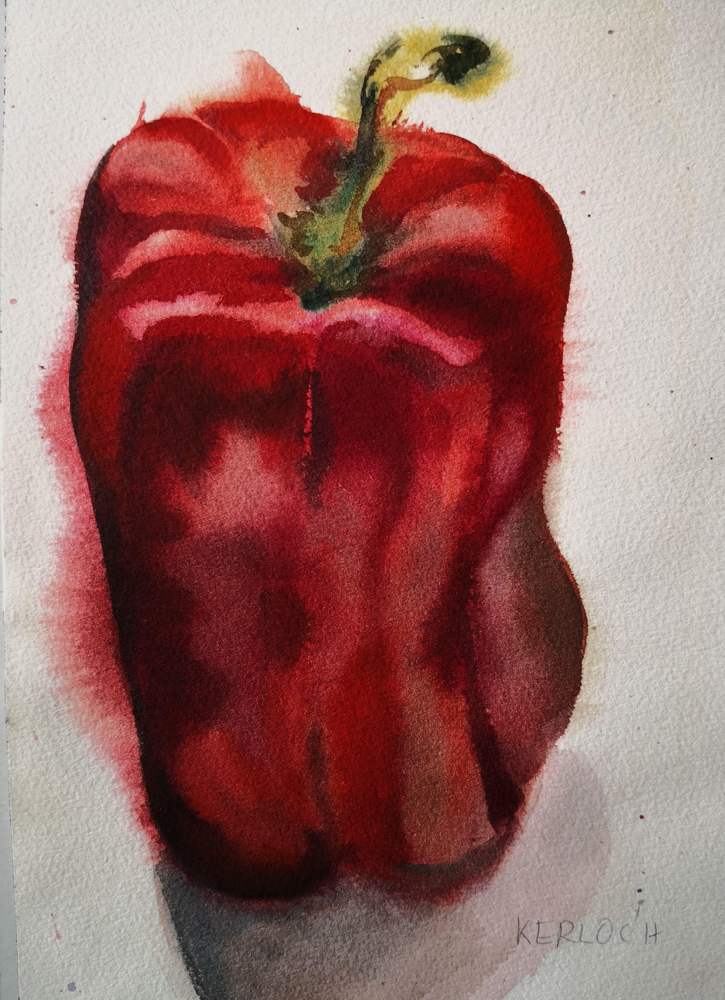 Red Pepper #2, Painting, Watercolor on Paper - Art by Anyck Alvarez Kerloch