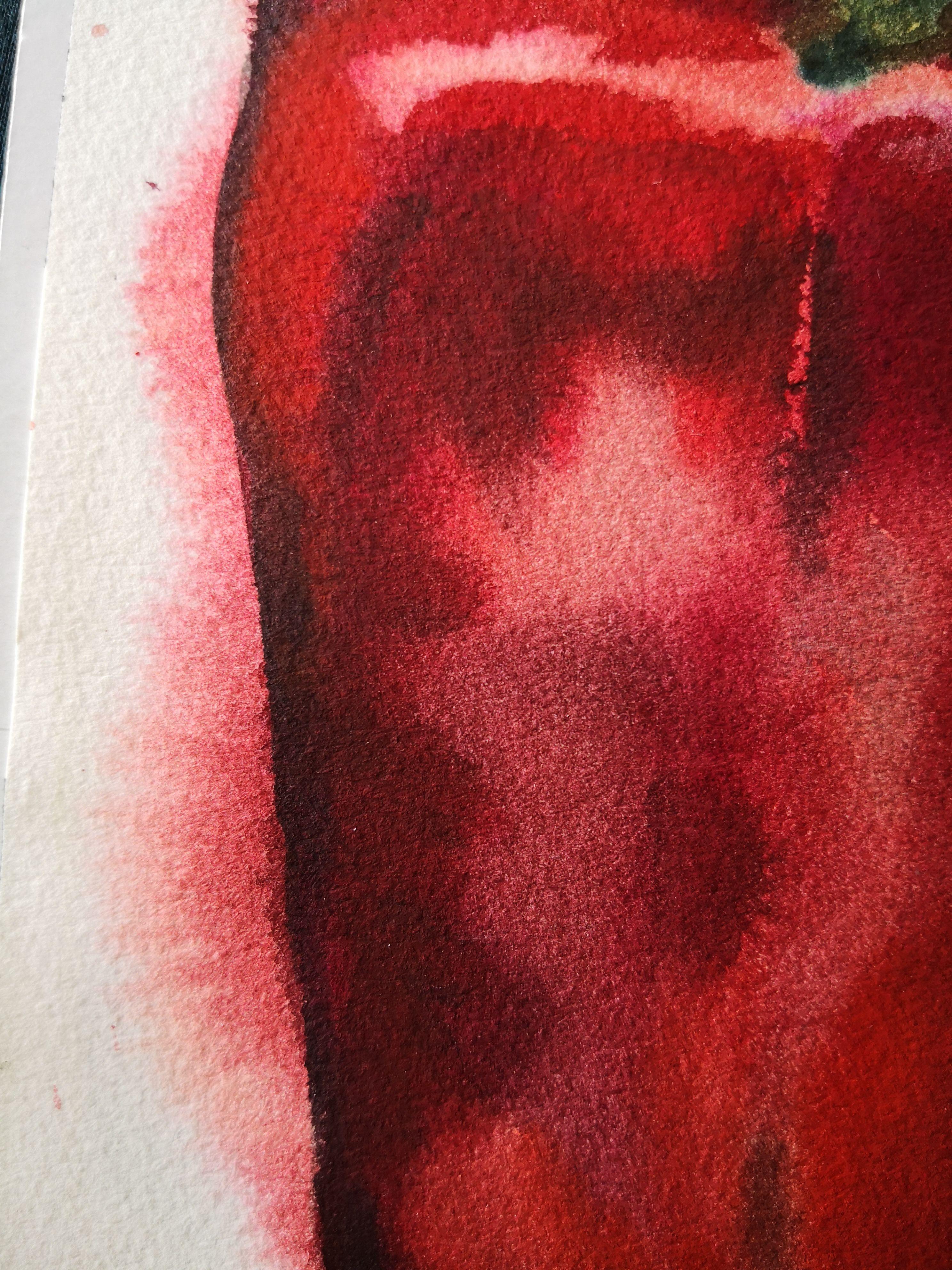 Aquarell auf einem Papier von Archivqualität, Arches 300g/m. Gehört zu einer laufenden Serie über die Lebensmittel, die der Maler isst. Sie mag das tiefe, satte Rot und die glänzende Textur dieser roten Paprika. :: Malerei :: Expressionismus ::