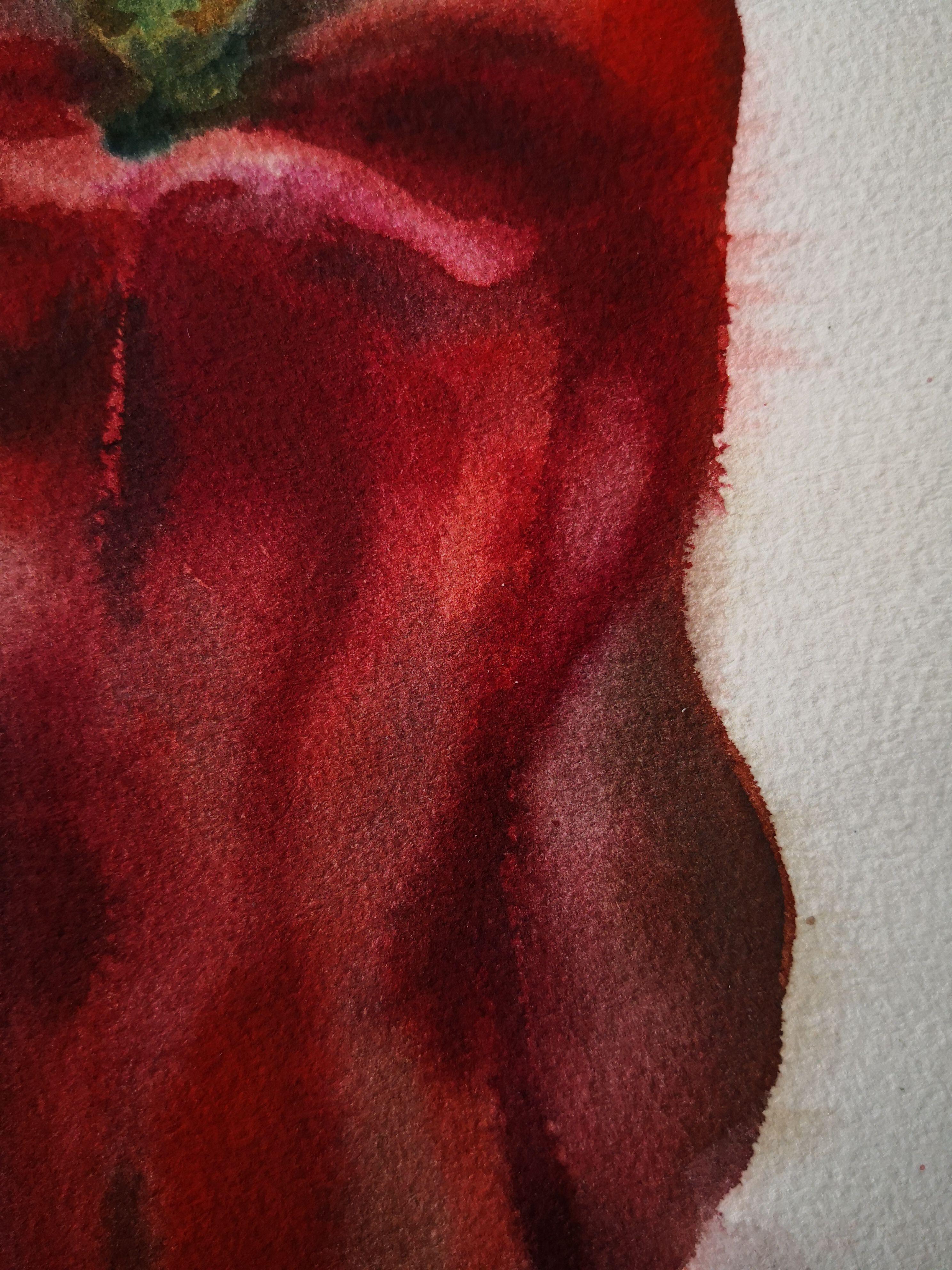 Red Pepper #2, Painting, Watercolor on Paper For Sale 2
