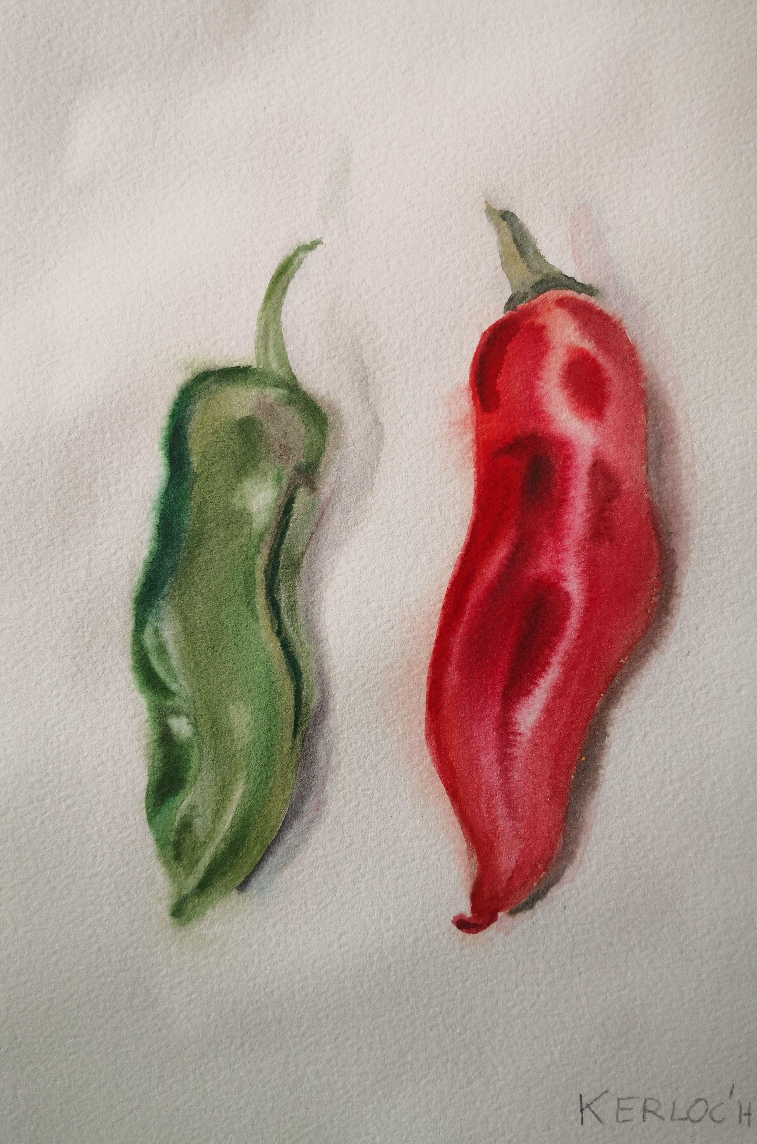 Green and Red Peppers, Painting, Watercolor on Paper - Art by Anyck Alvarez Kerloch